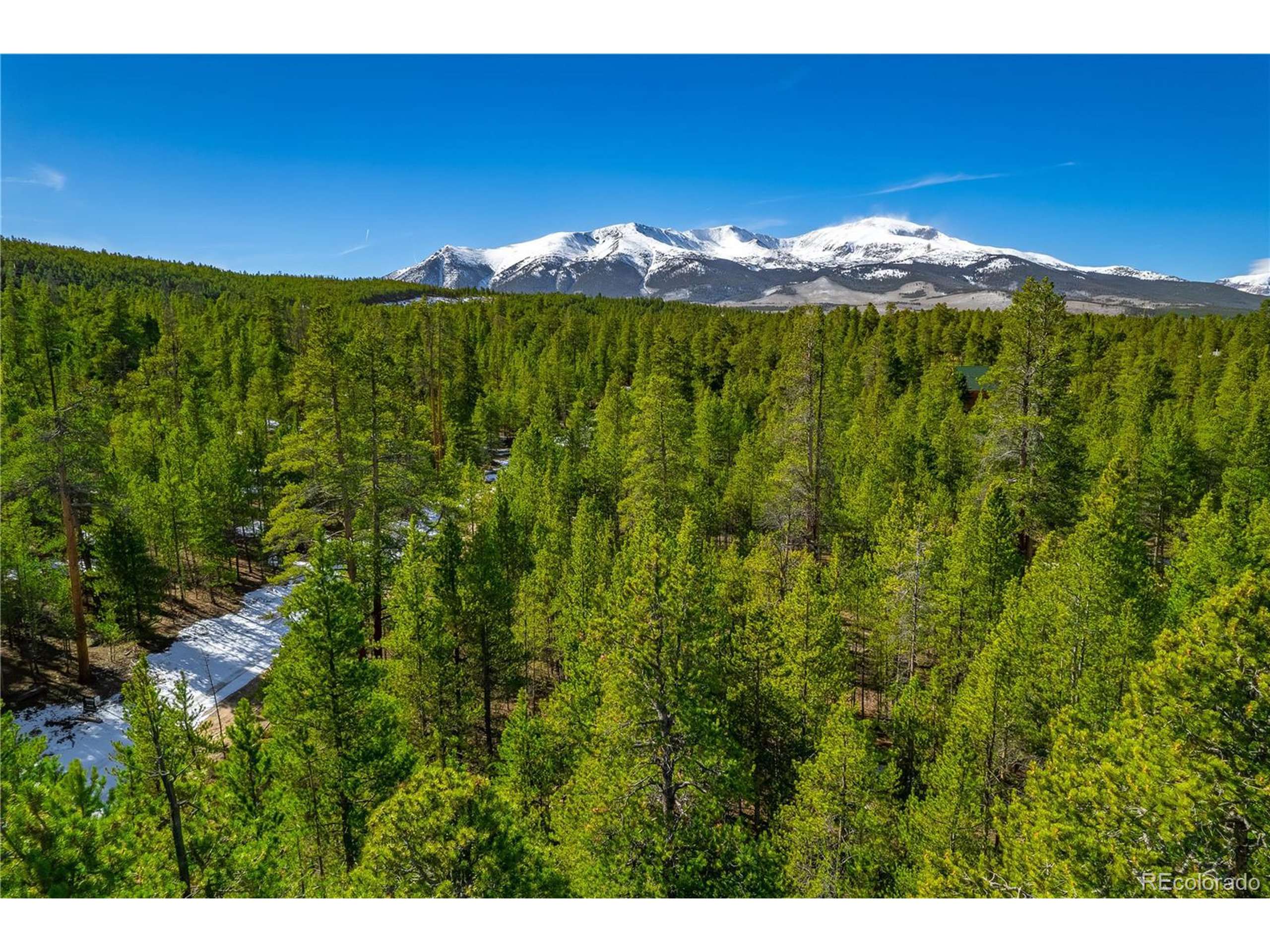 Twin Lakes, CO 81251,323 Juniper Dr