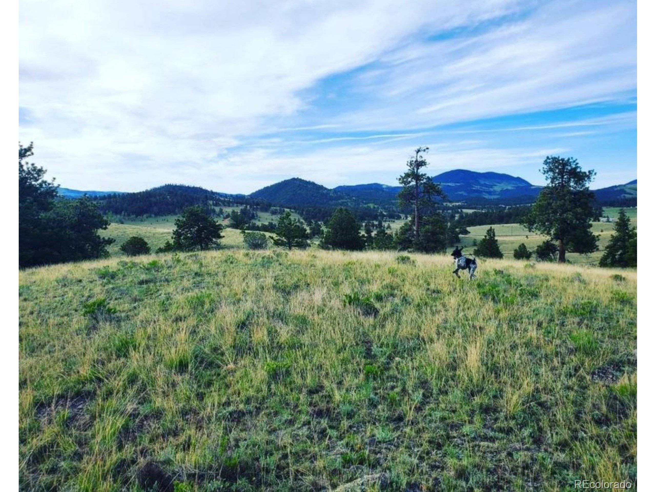 Guffey, CO 80820,568 Coyote Dr