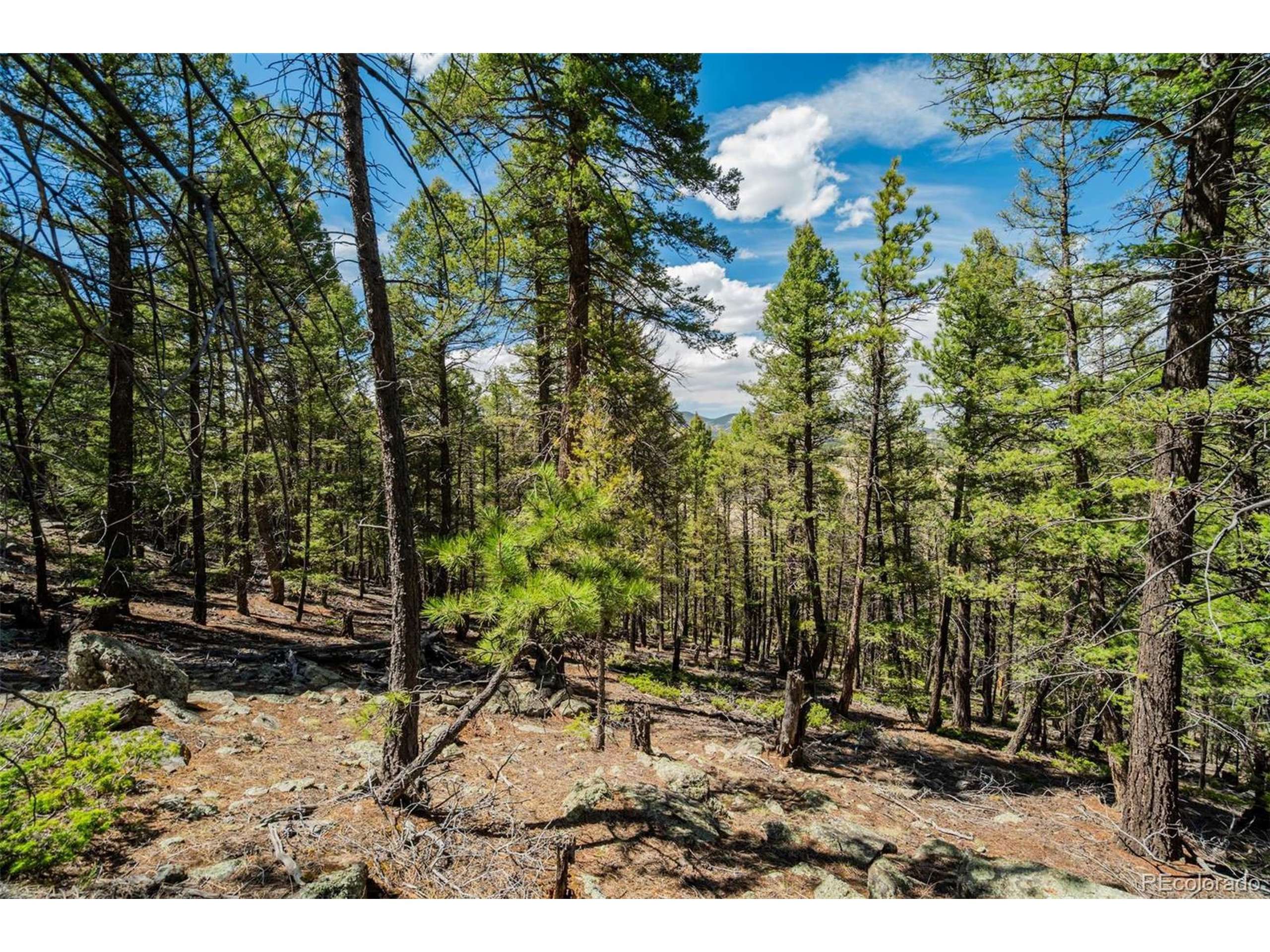 Guffey, CO 80820,128 Nancy Ann Arroyo