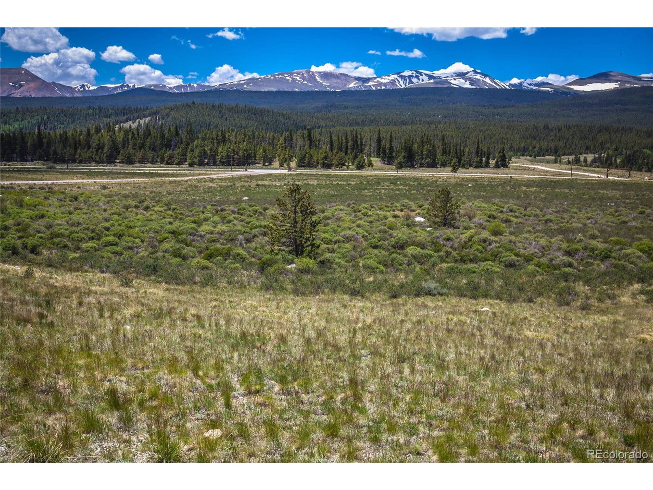Alma, CO 80420,145 Ice Axe Ct
