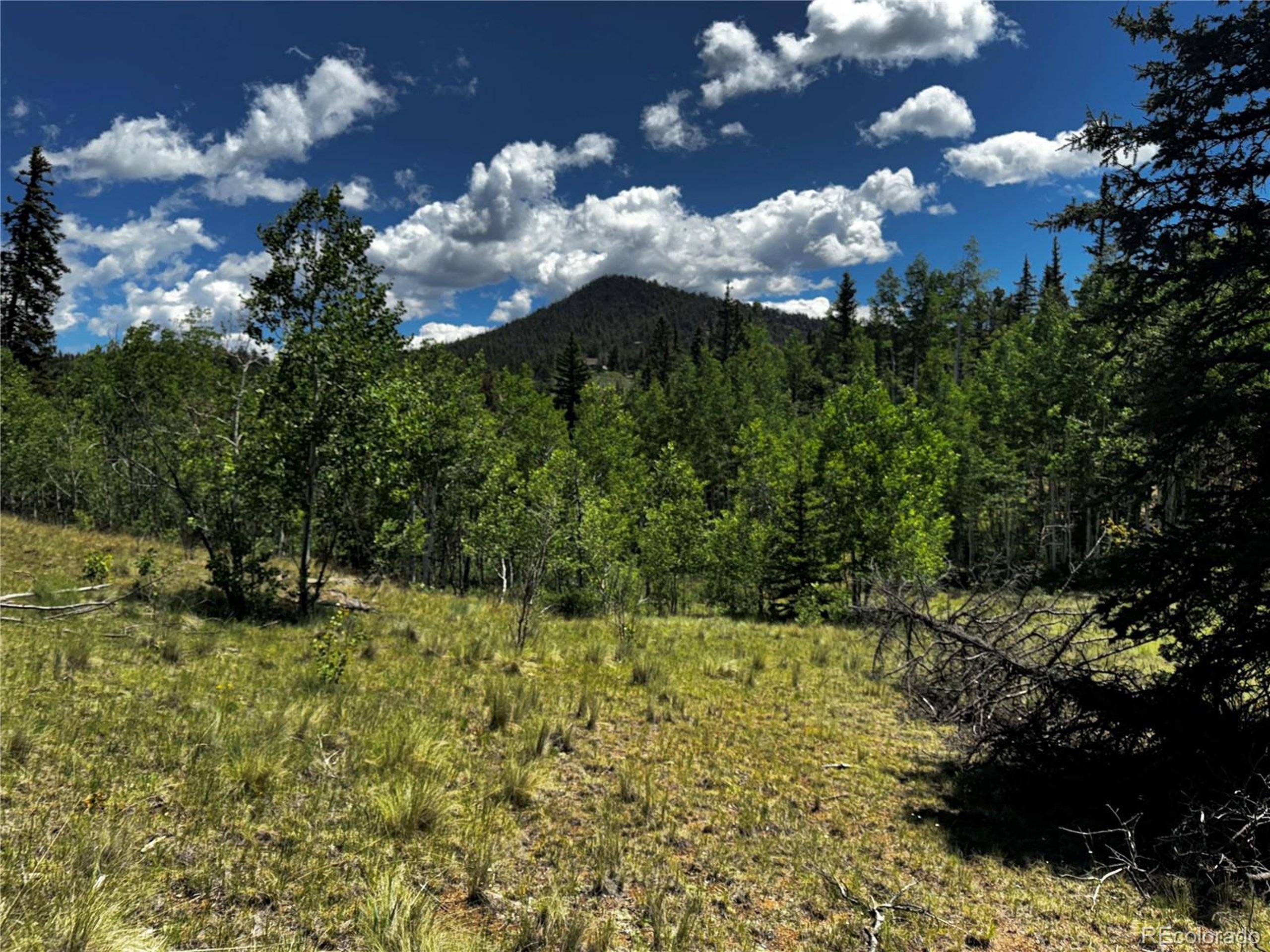 Como, CO 80456,585 Haida Ln