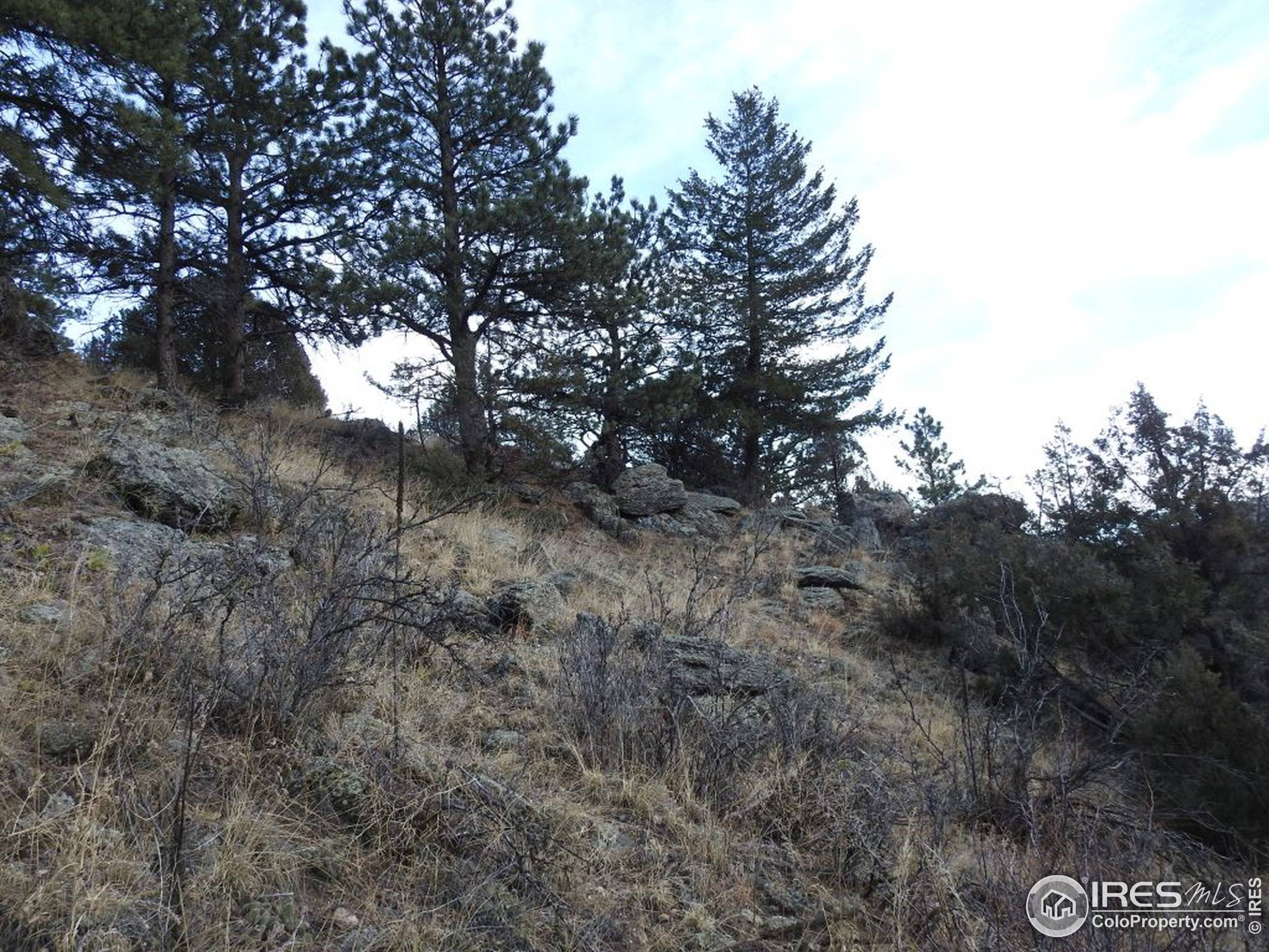 Glen Haven, CO 80532,0 Dunraven Glade Rd