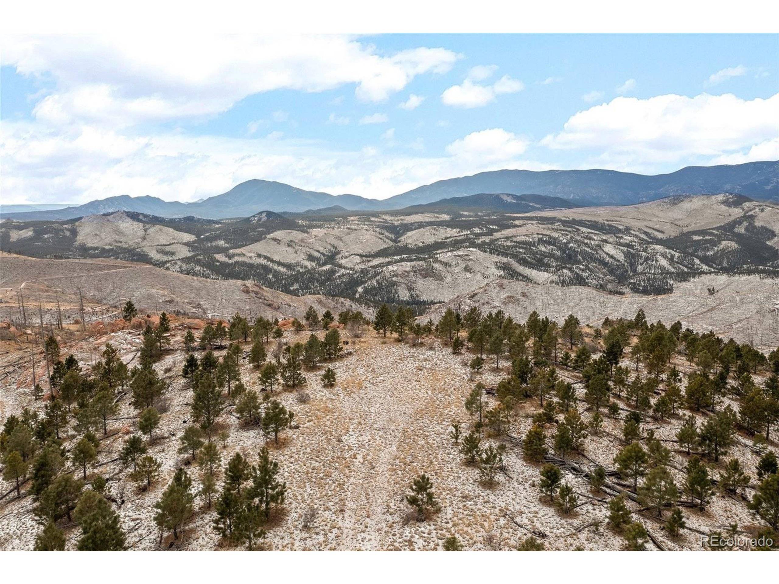Pine, CO 80470,0 Quandary Peak Trl