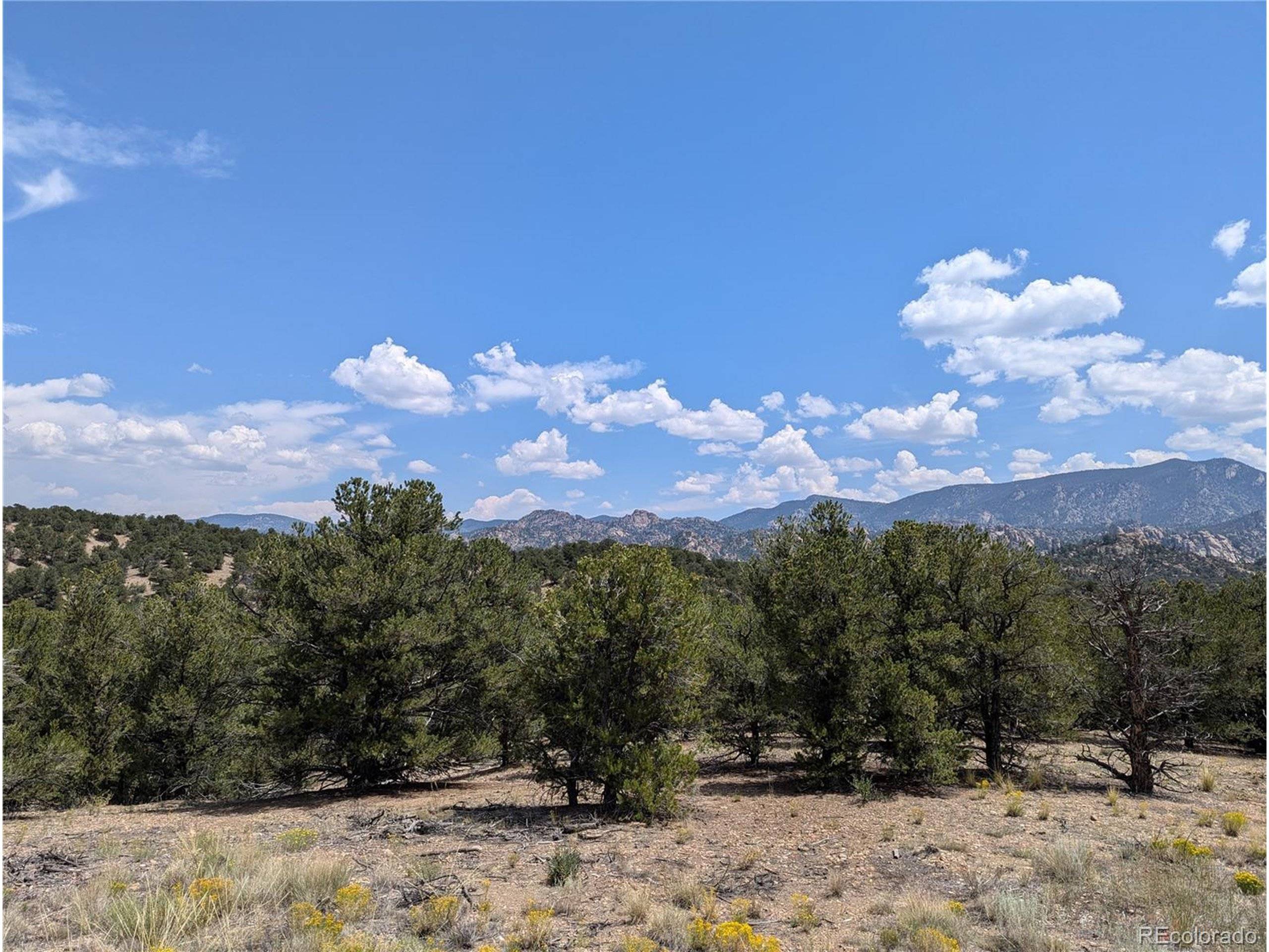 Nathrop, CO 81236,10284 Pioneer Trace