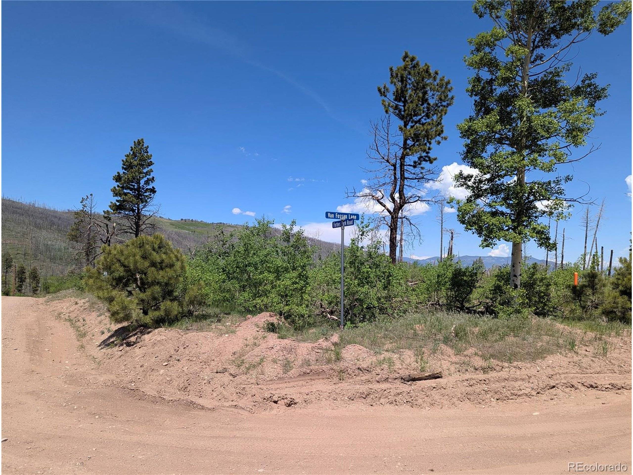 Fort Garland, CO 81133,925 Forbes Park Rd