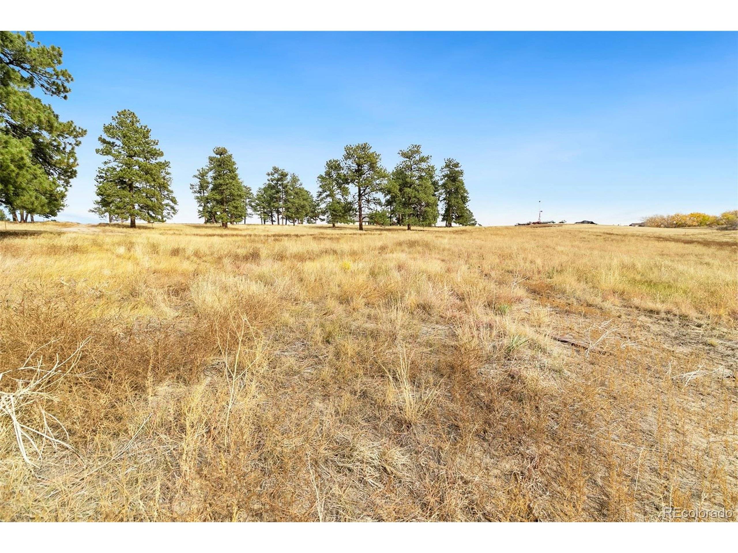 Parker, CO 80138,10562 Shadow Pines Rd