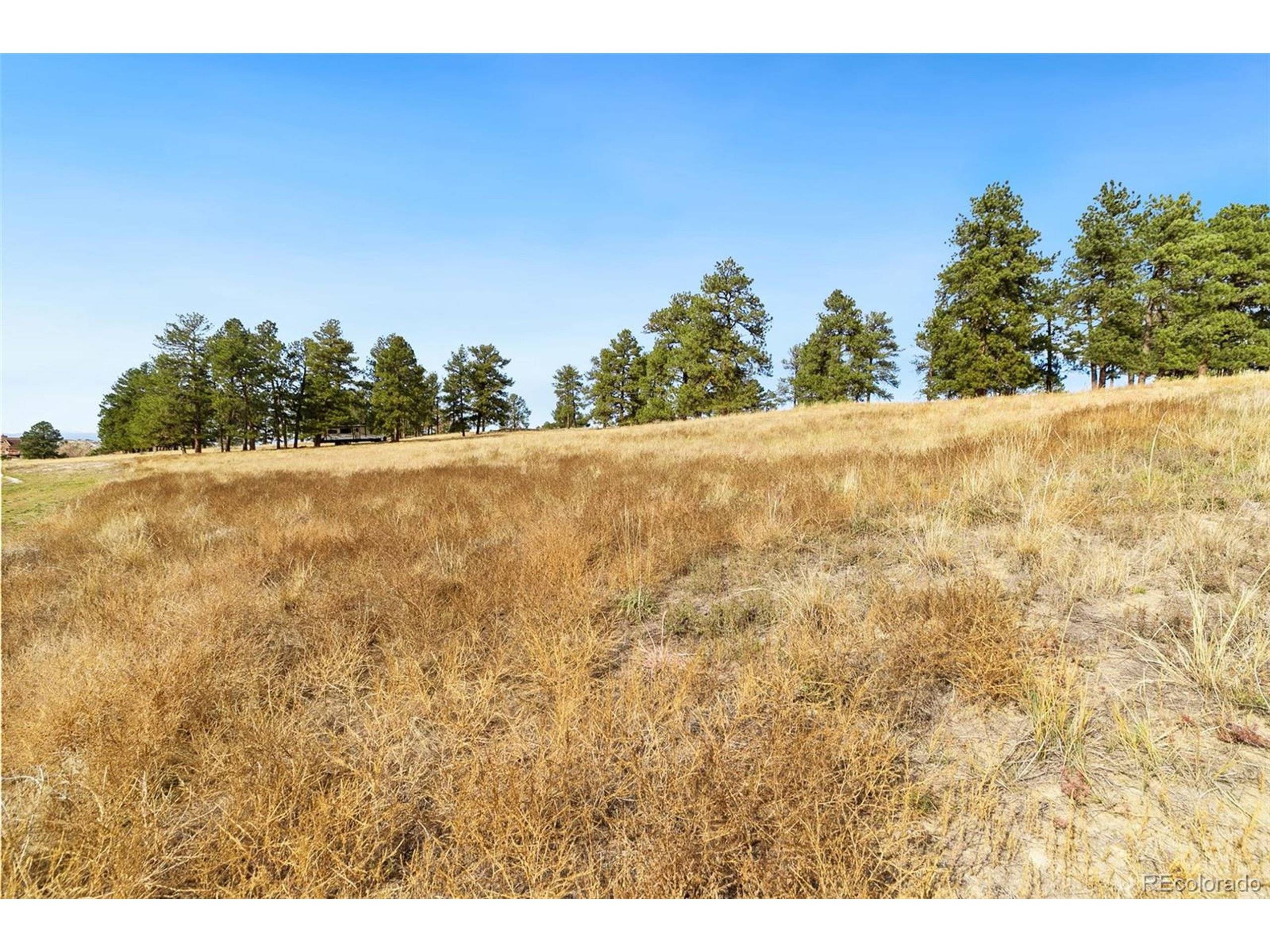 Parker, CO 80138,10562 Shadow Pines Rd