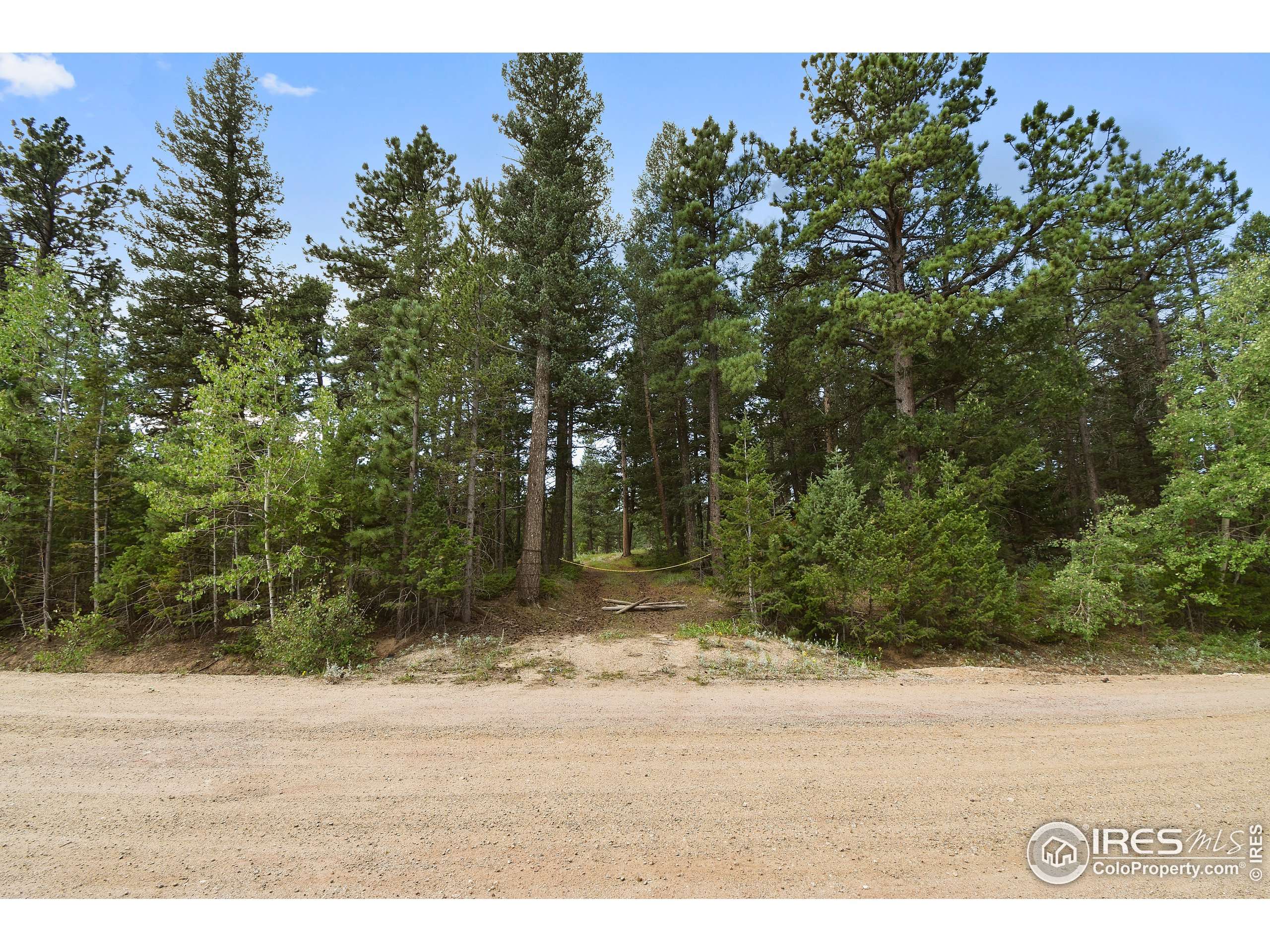 Ward, CO 80481,520 Bramer Rd