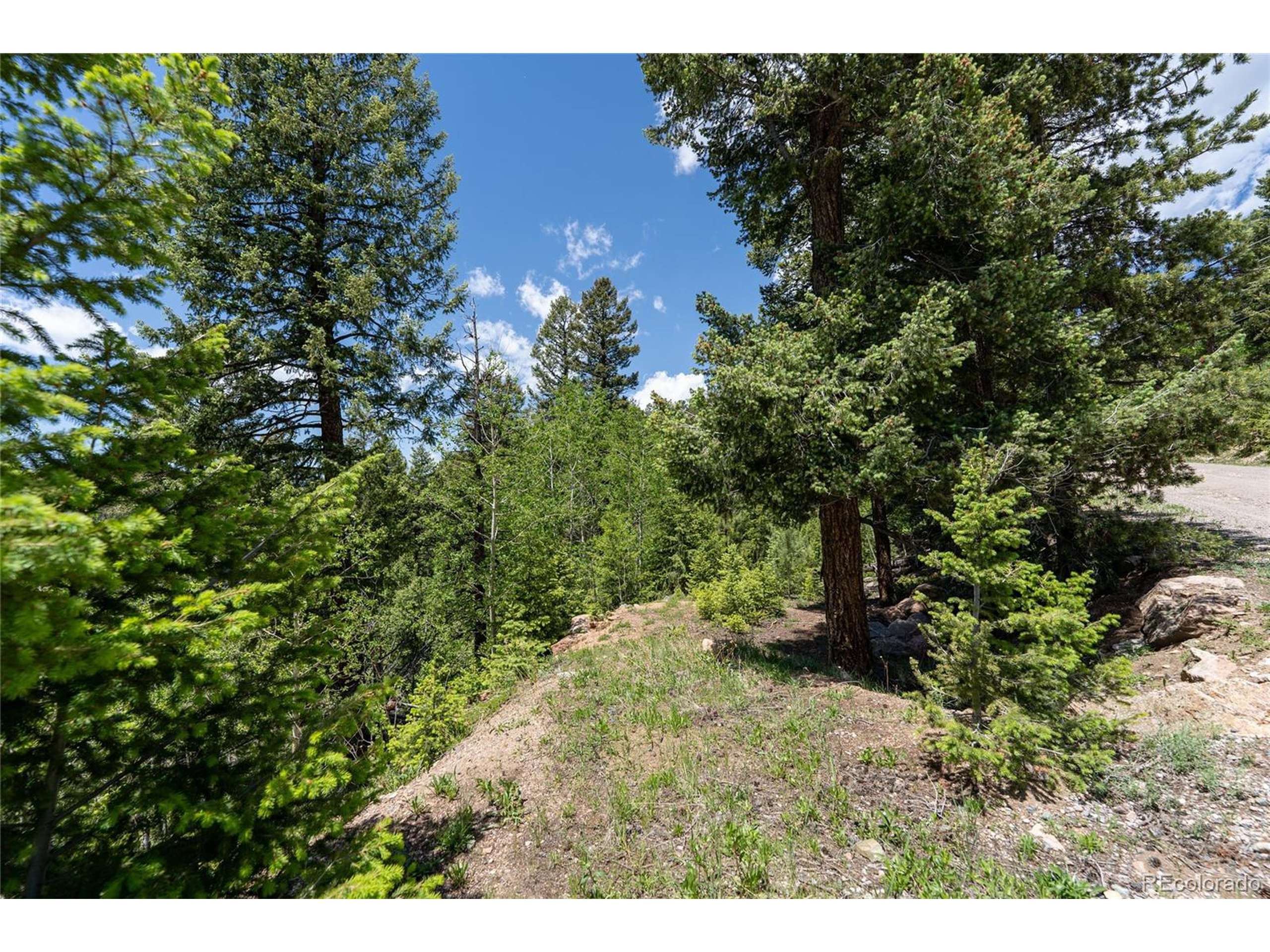 Conifer, CO 80433,11698 Nichols Way