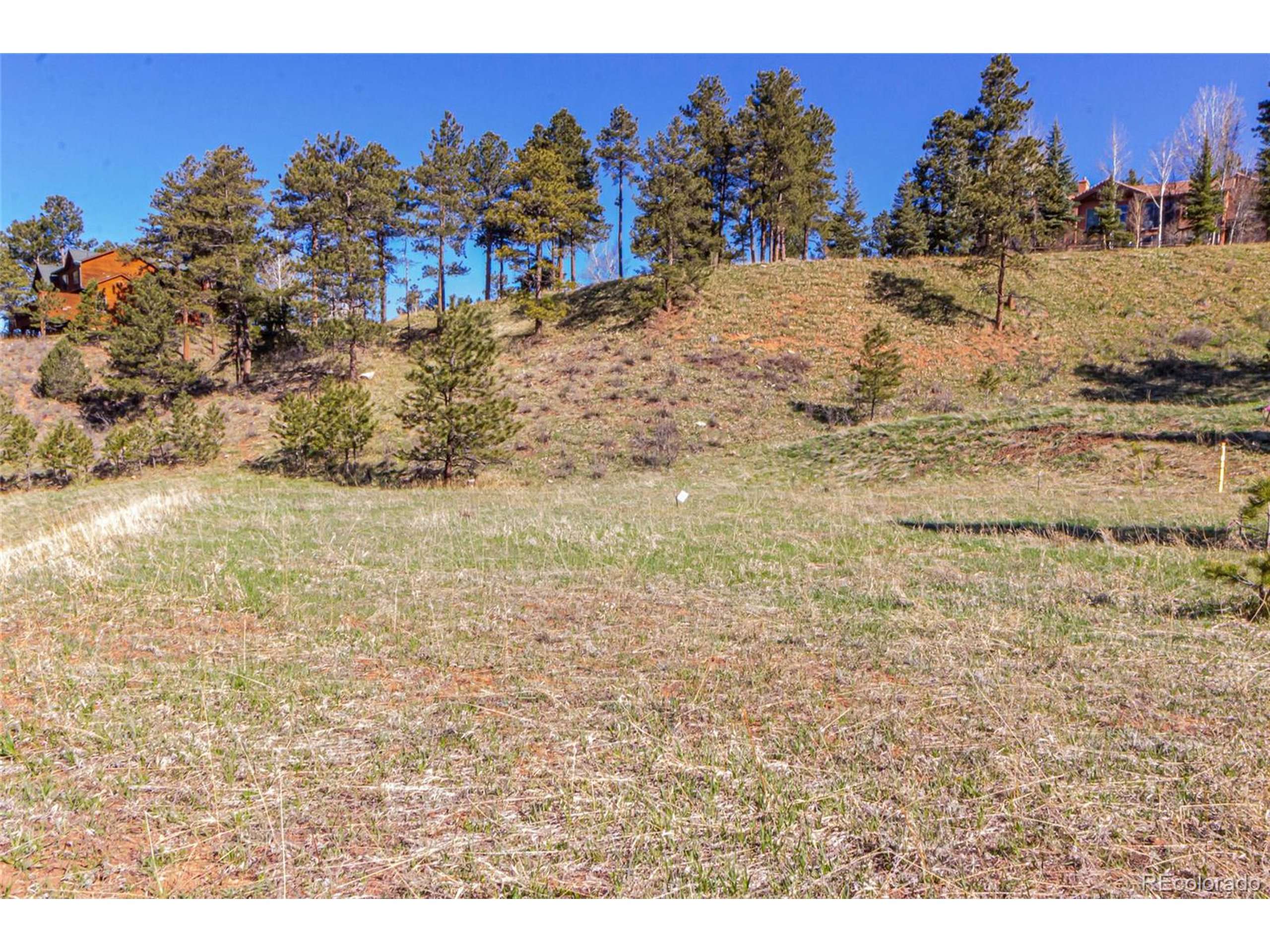 Woodland Park, CO 80863,2721 Mountain Glen Ct