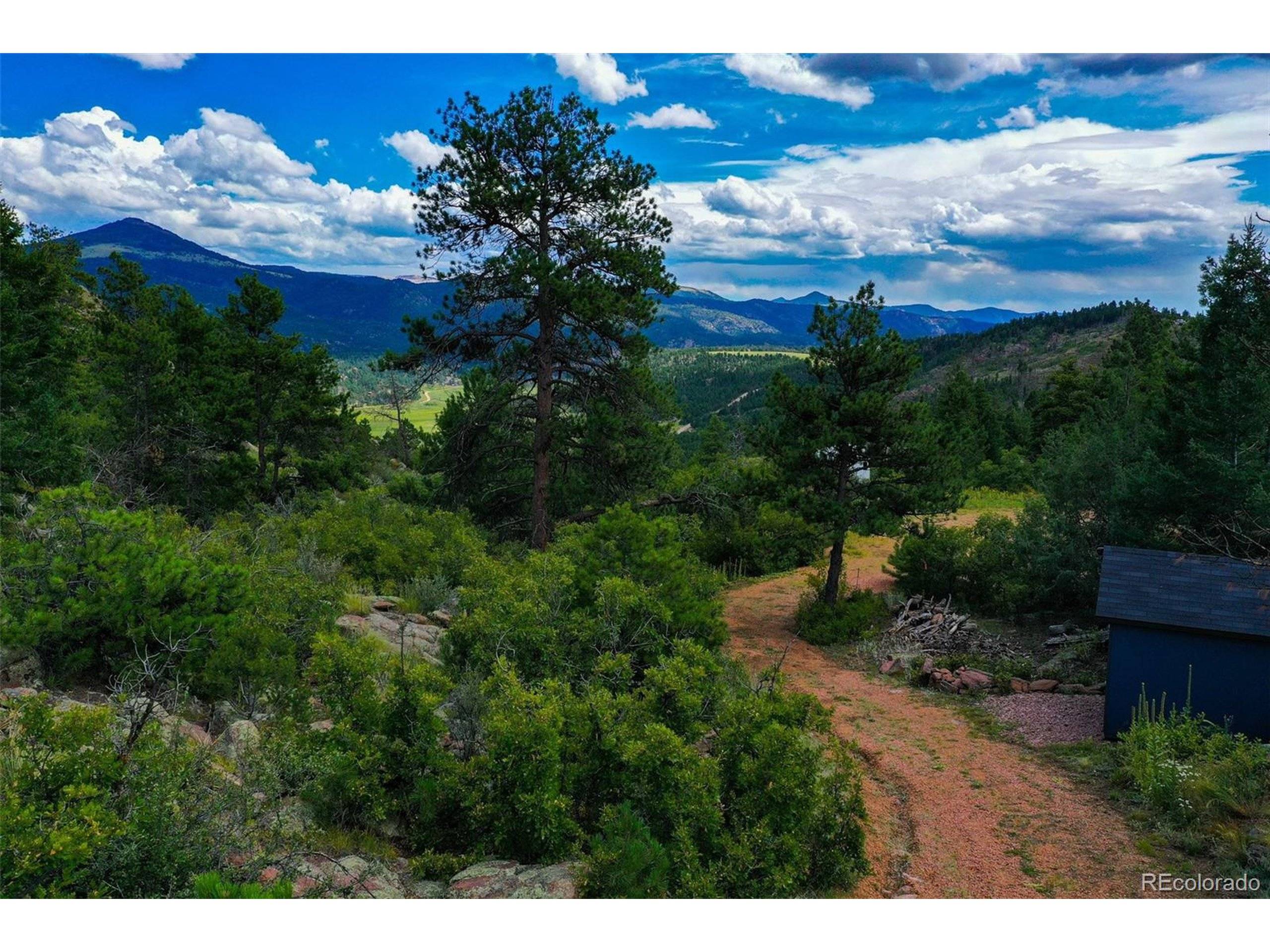 Florissant, CO 80816,169 Mohawk Cir