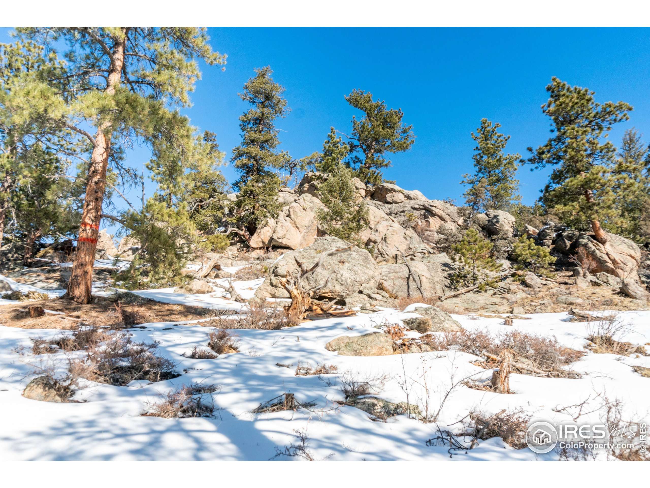 Estes Park, CO 80517,1333 Meadowdale Ln