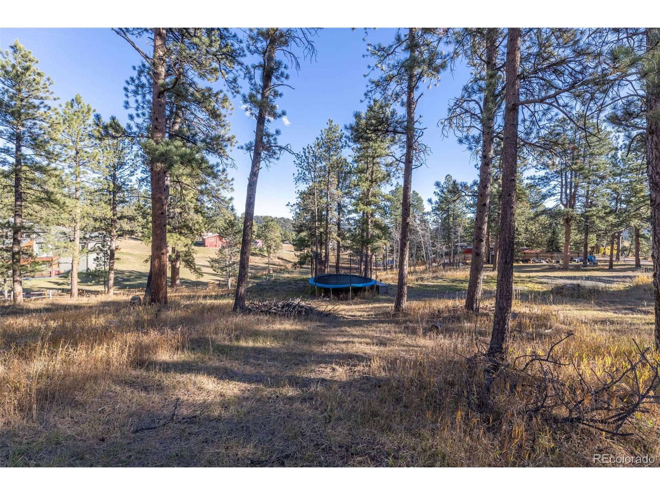 Evergreen, CO 80439,29999 Gigi Dr