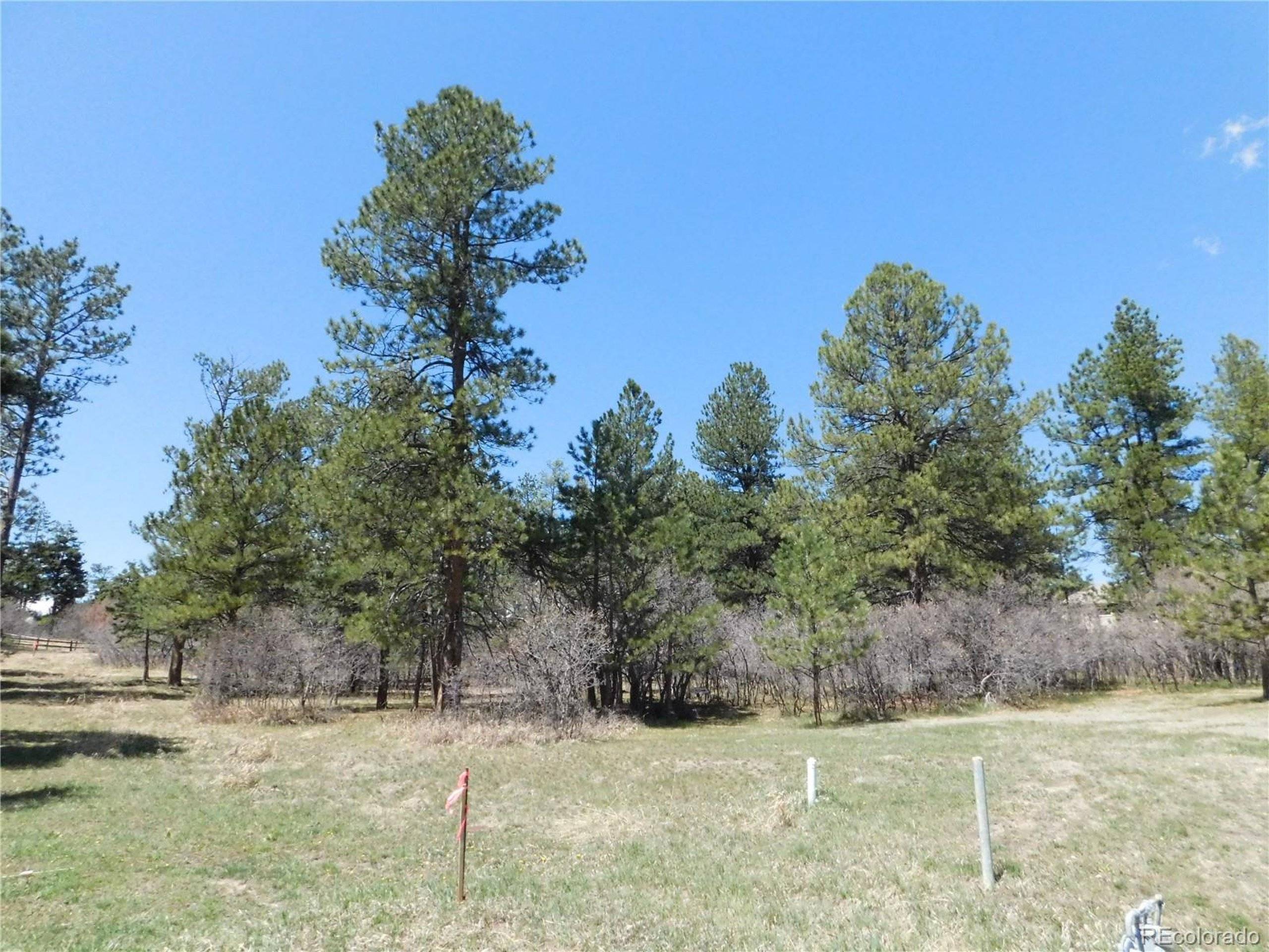 Larkspur, CO 80118,7347 Fremont Pl