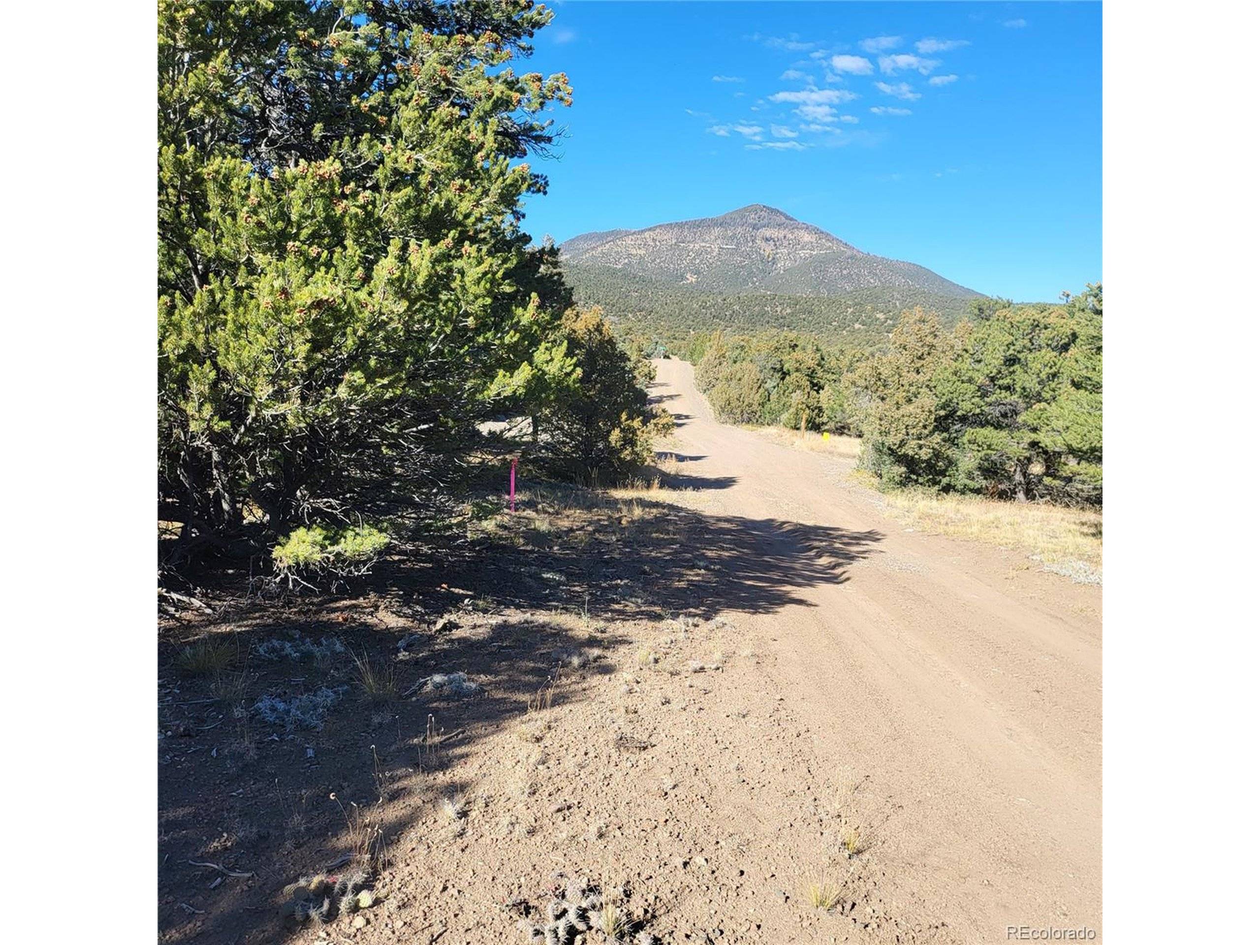 South Fork, CO 81154,436 Pikes Peak Rd