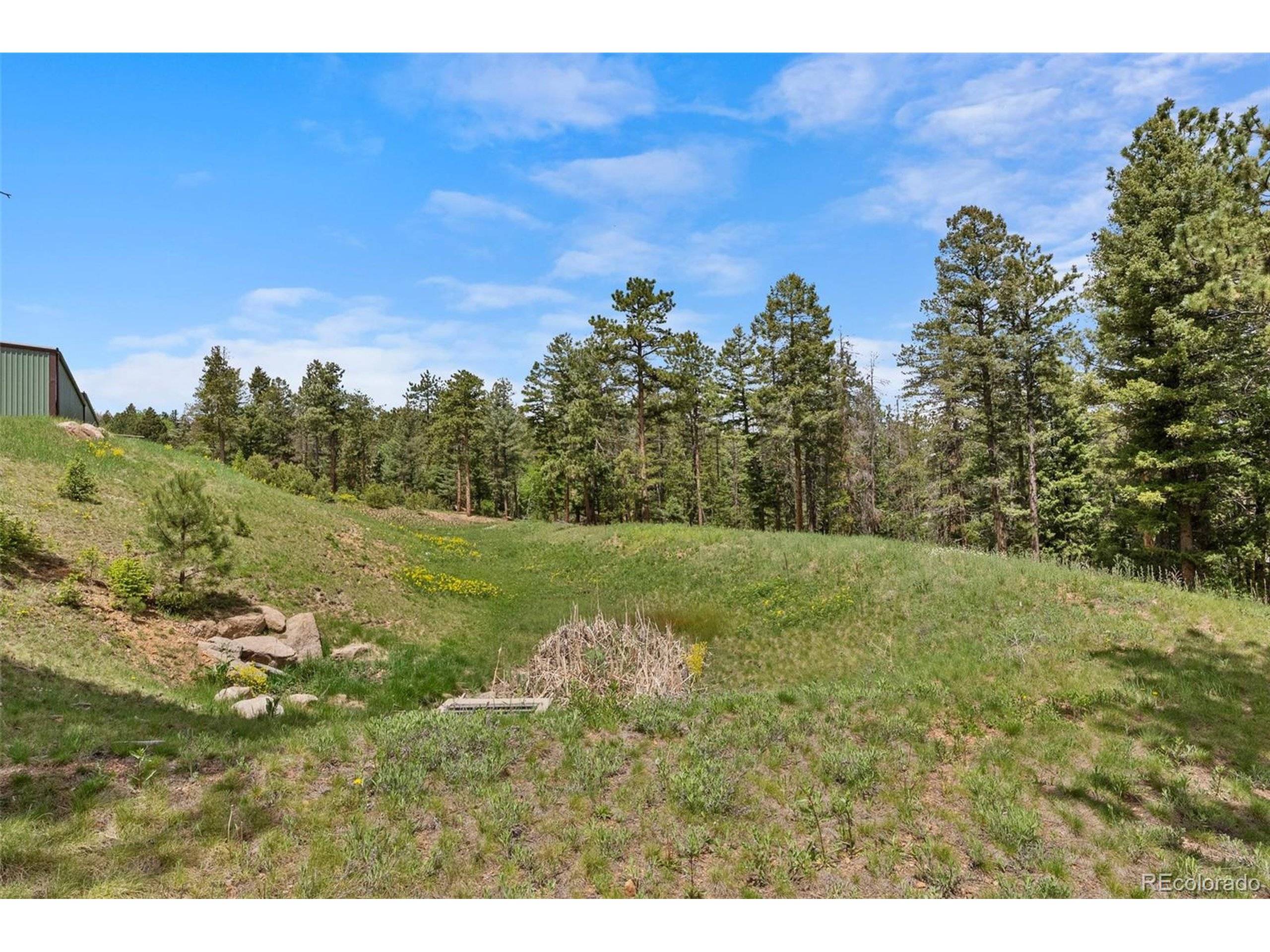 Conifer, CO 80433,11040 Kitty Dr