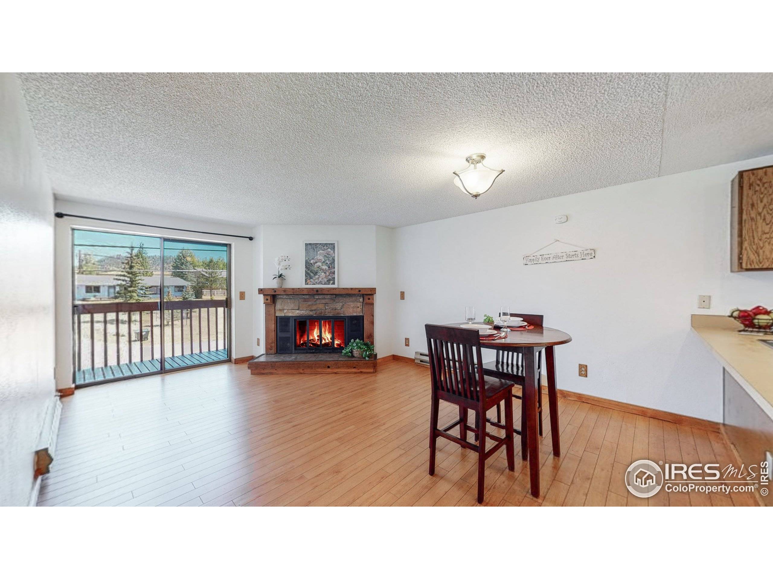 Estes Park, CO 80517,1730 Raven Ave #12