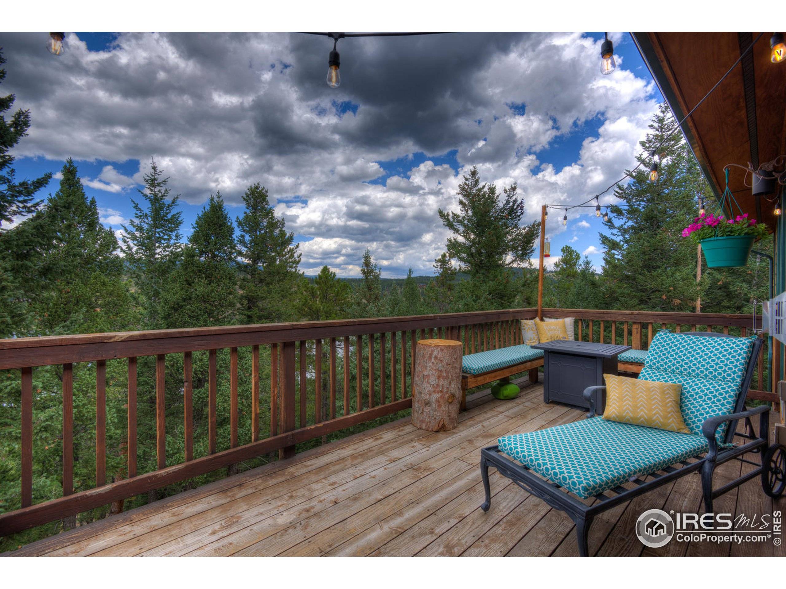 Nederland, CO 80466,91 Pinecliff Trl