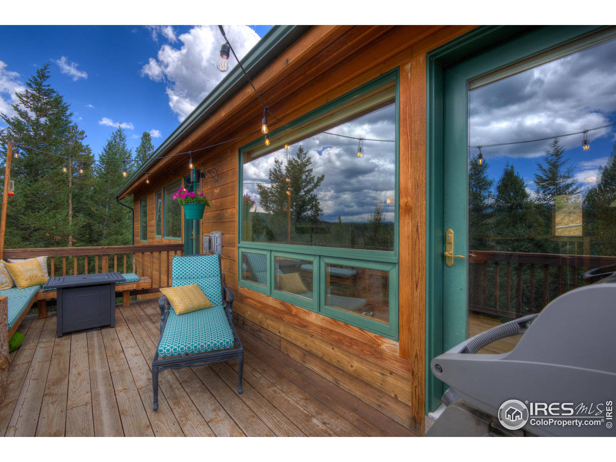 Nederland, CO 80466,91 Pinecliff Trl