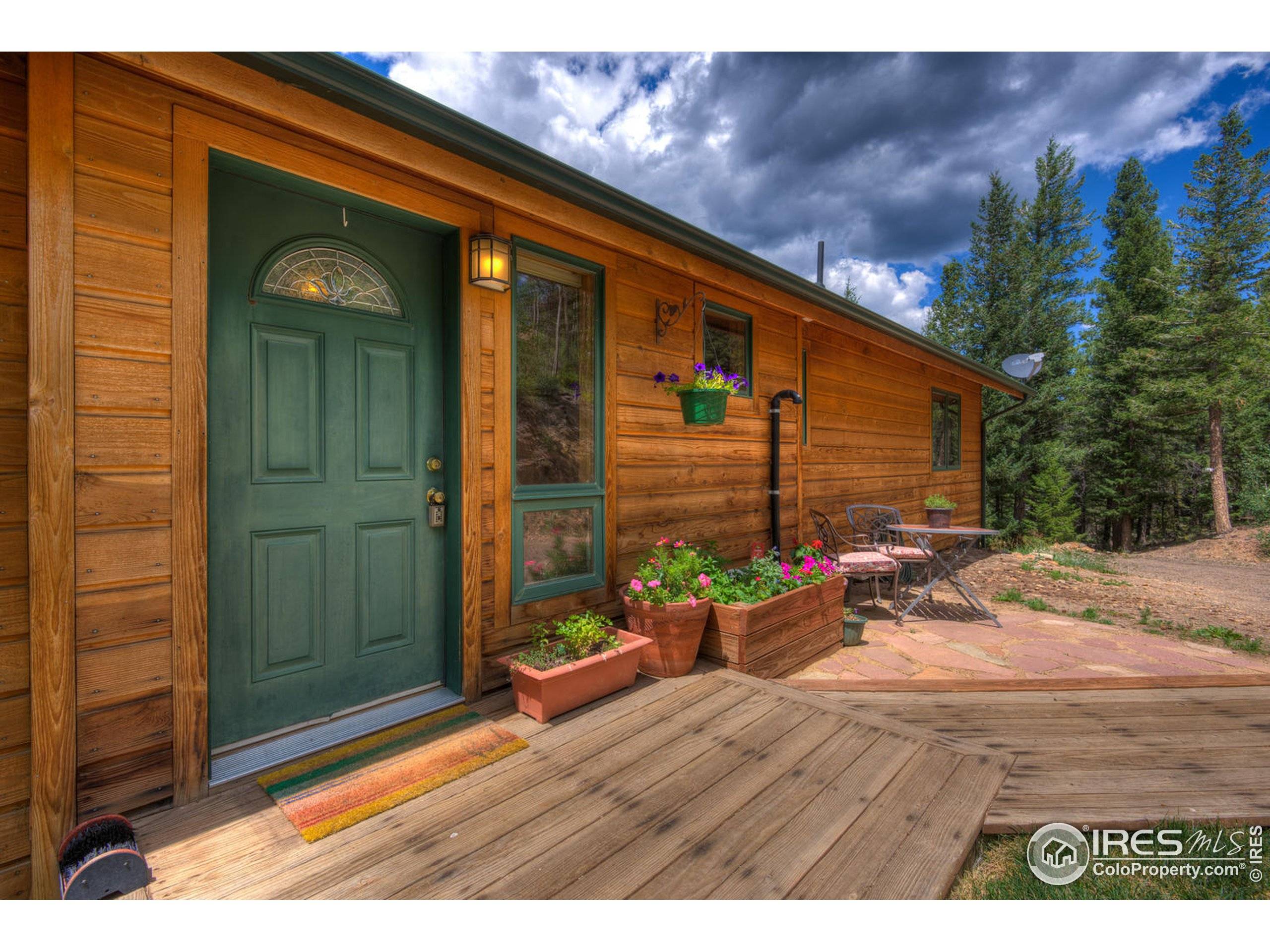 Nederland, CO 80466,91 Pinecliff Trl