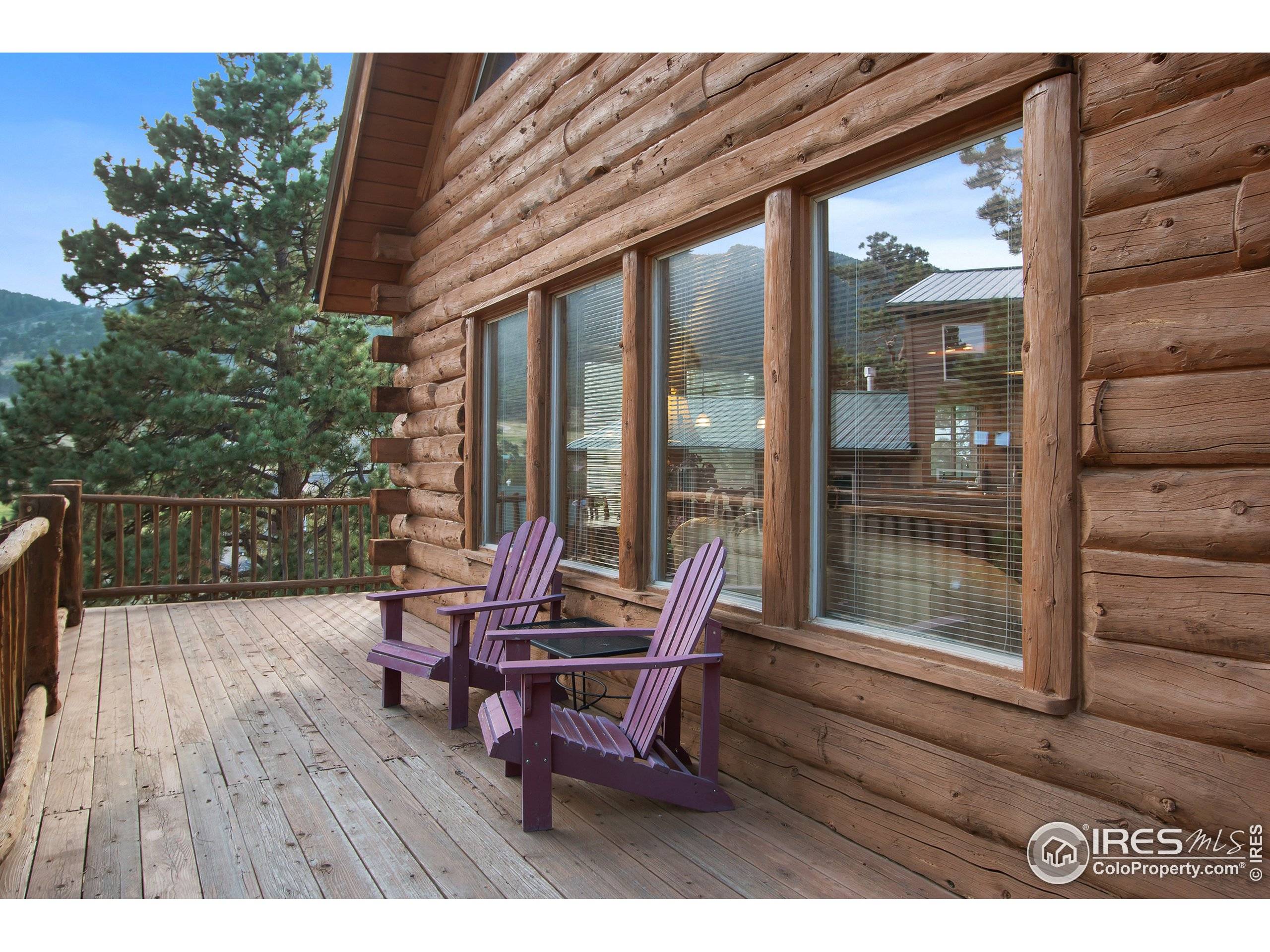 Estes Park, CO 80517,1910 Silver Tree Ln