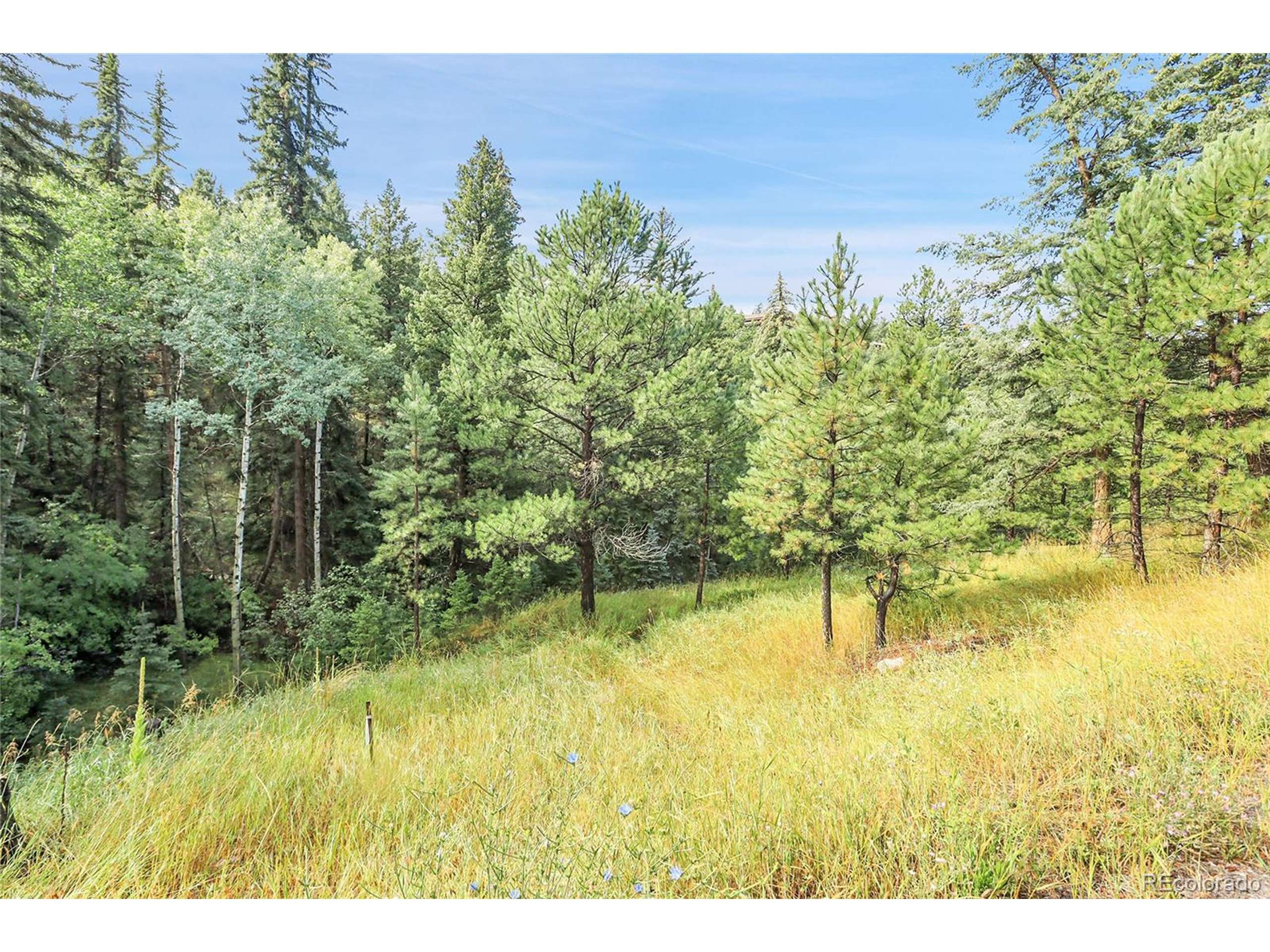 Evergreen, CO 80439,TBD Mountain Park Rd