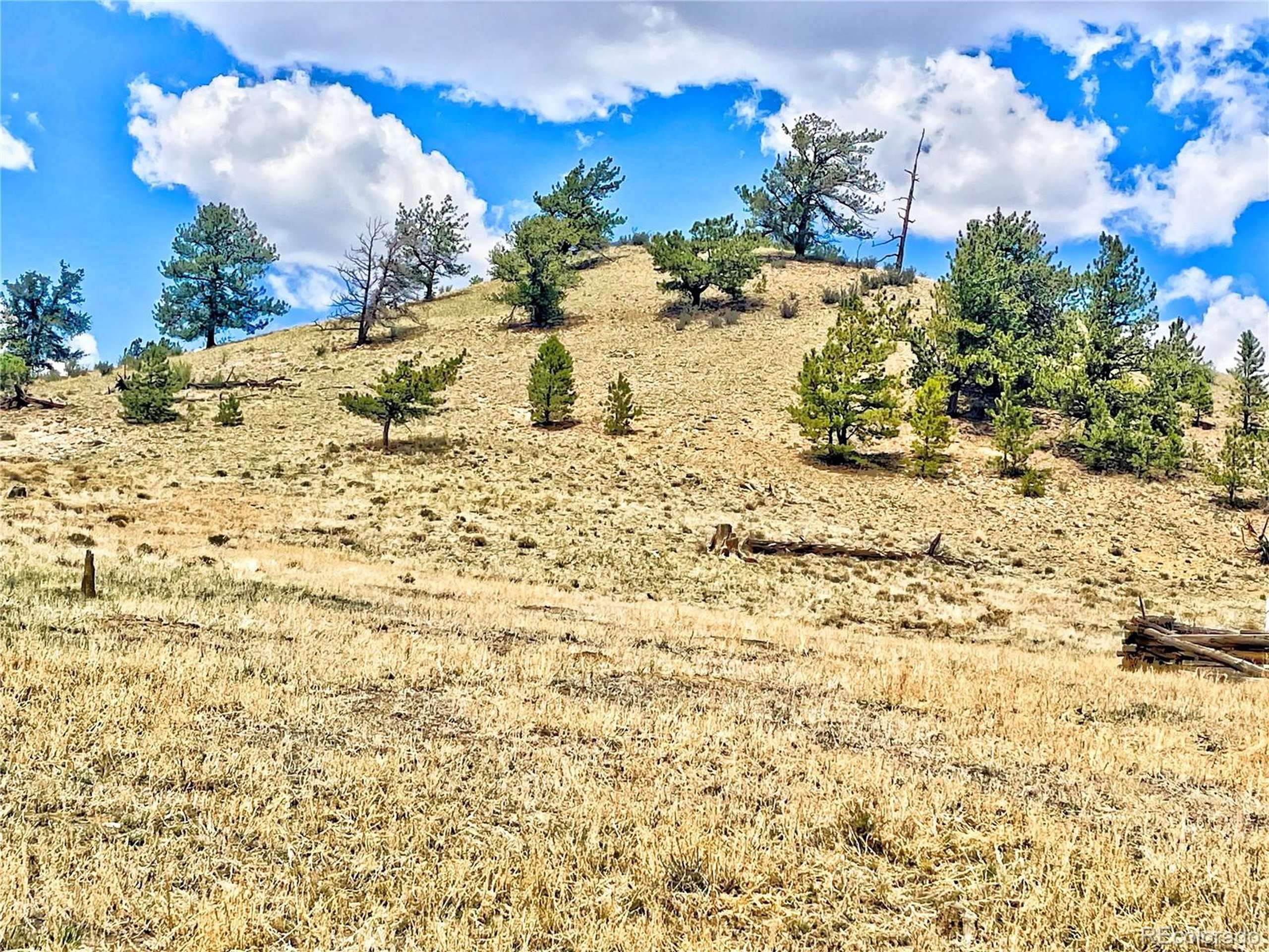 Hartsel, CO 80449,243 June Ln