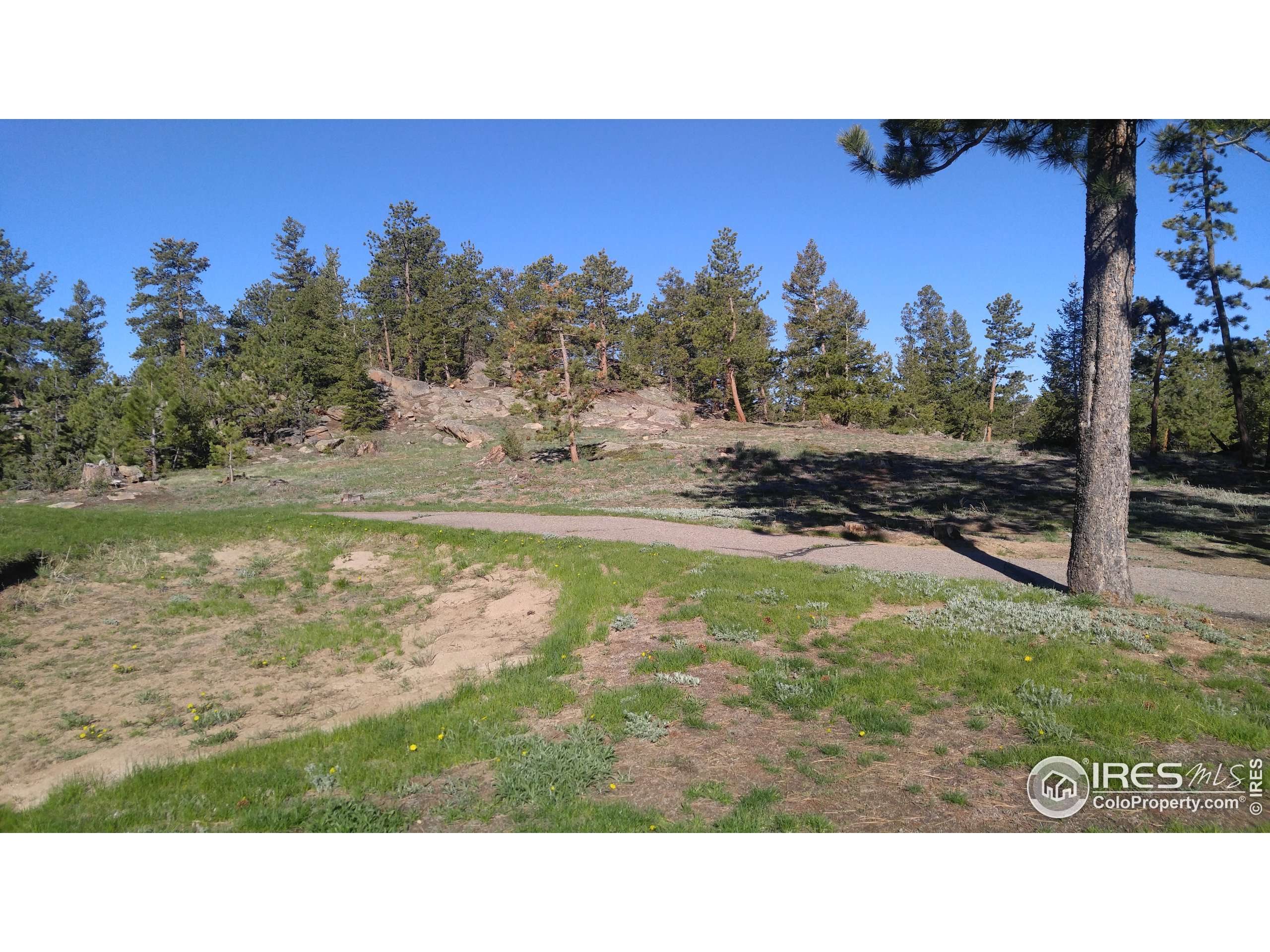 Red Feather Lakes, CO 80545,3031 Lake Arapahoe Ct