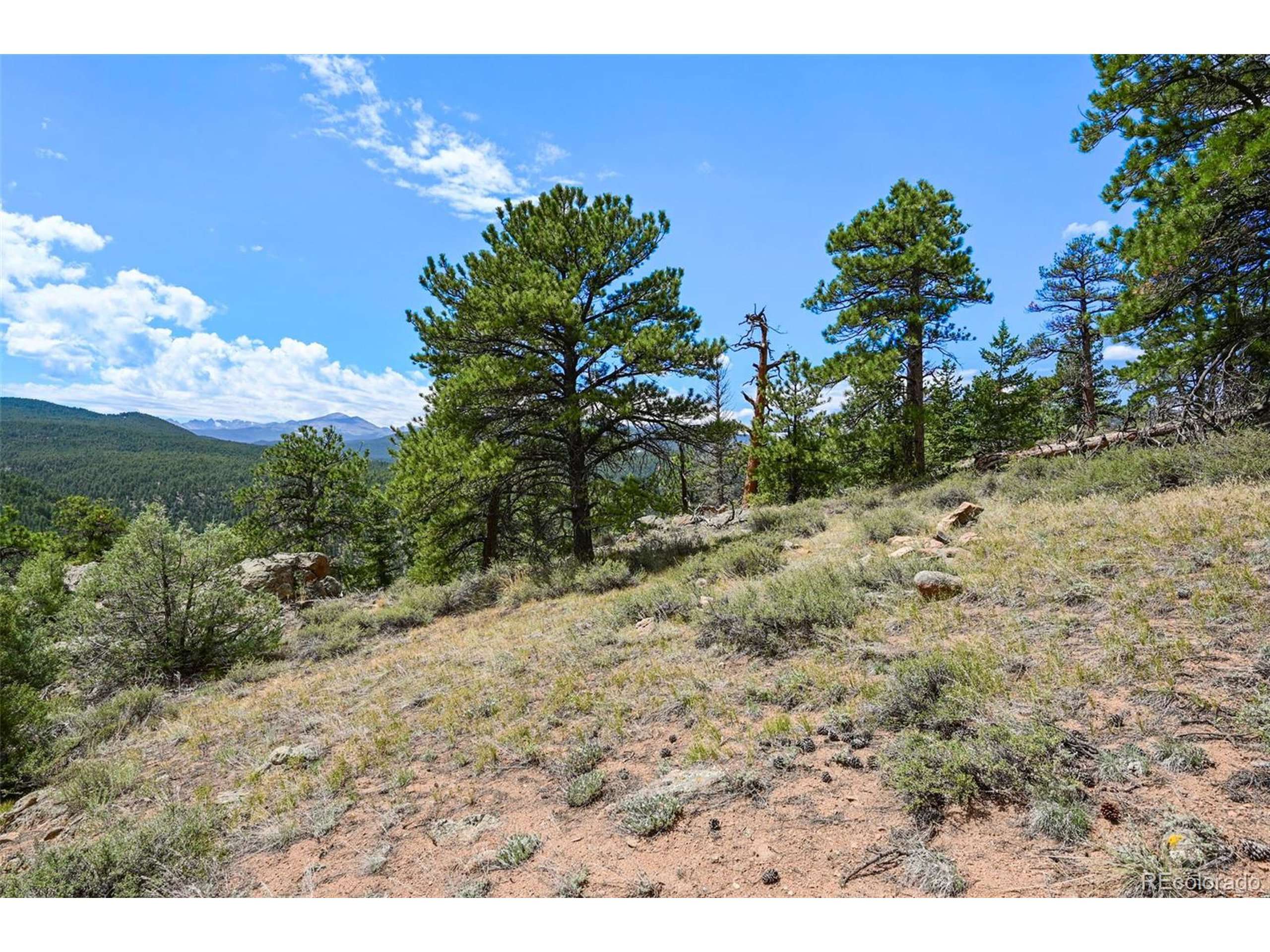 Lyons, CO 80540,374 Spruce Dr