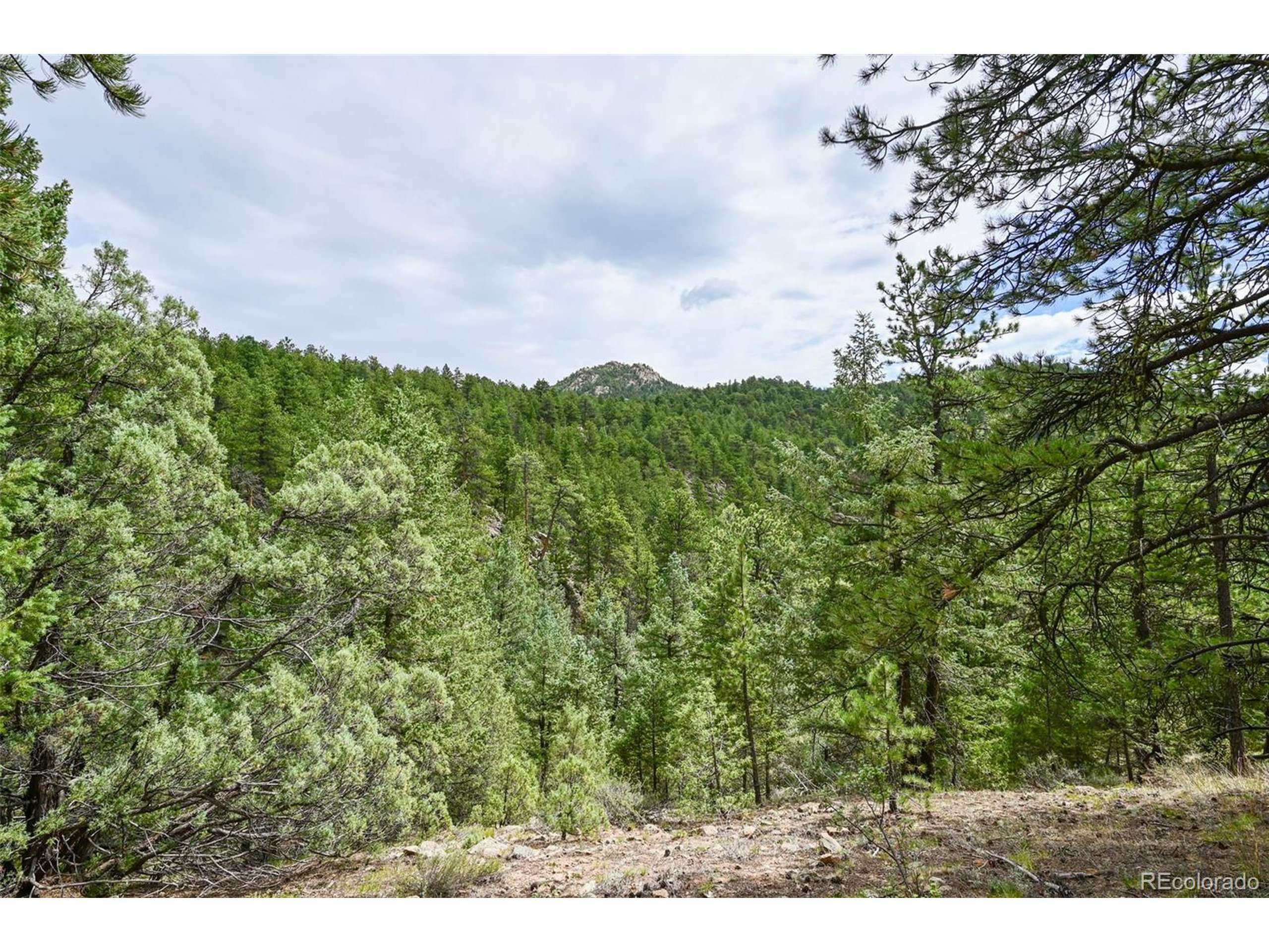 Lyons, CO 80540,374 Spruce Dr