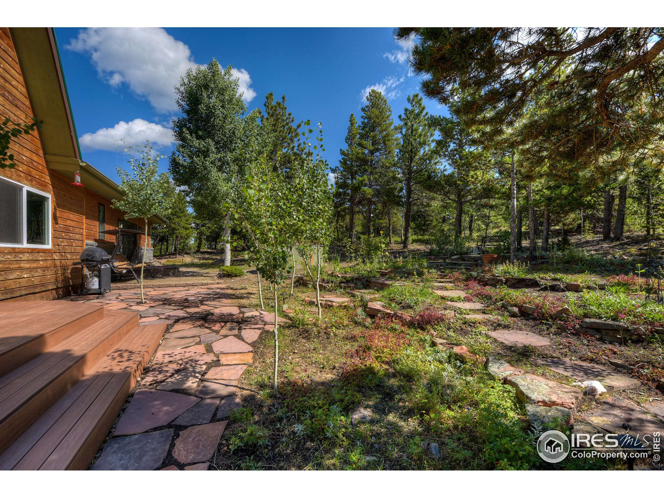 Nederland, CO 80466,13 Wildewood Dr