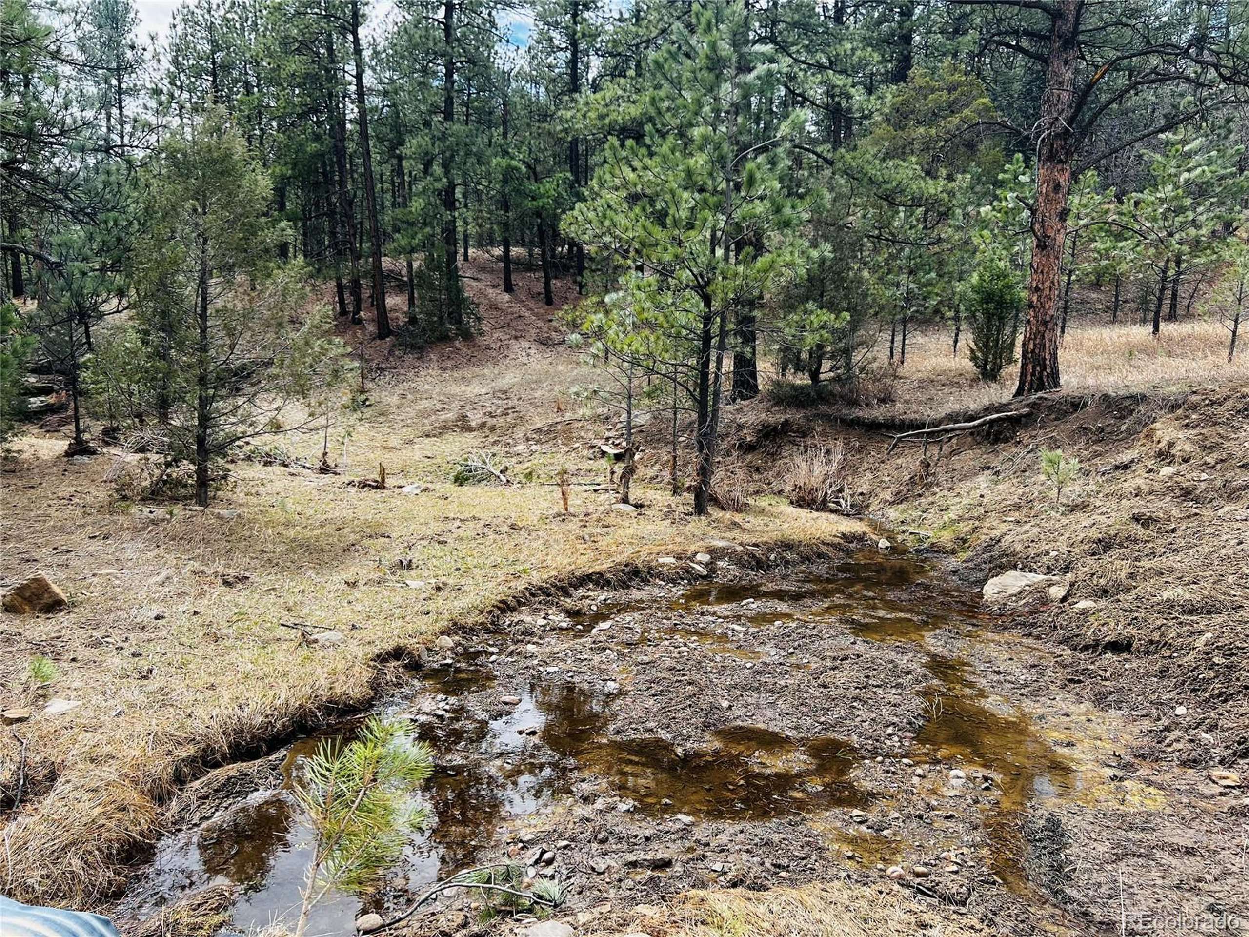 Weston, CO 81091,36 Logging Canyon Rd