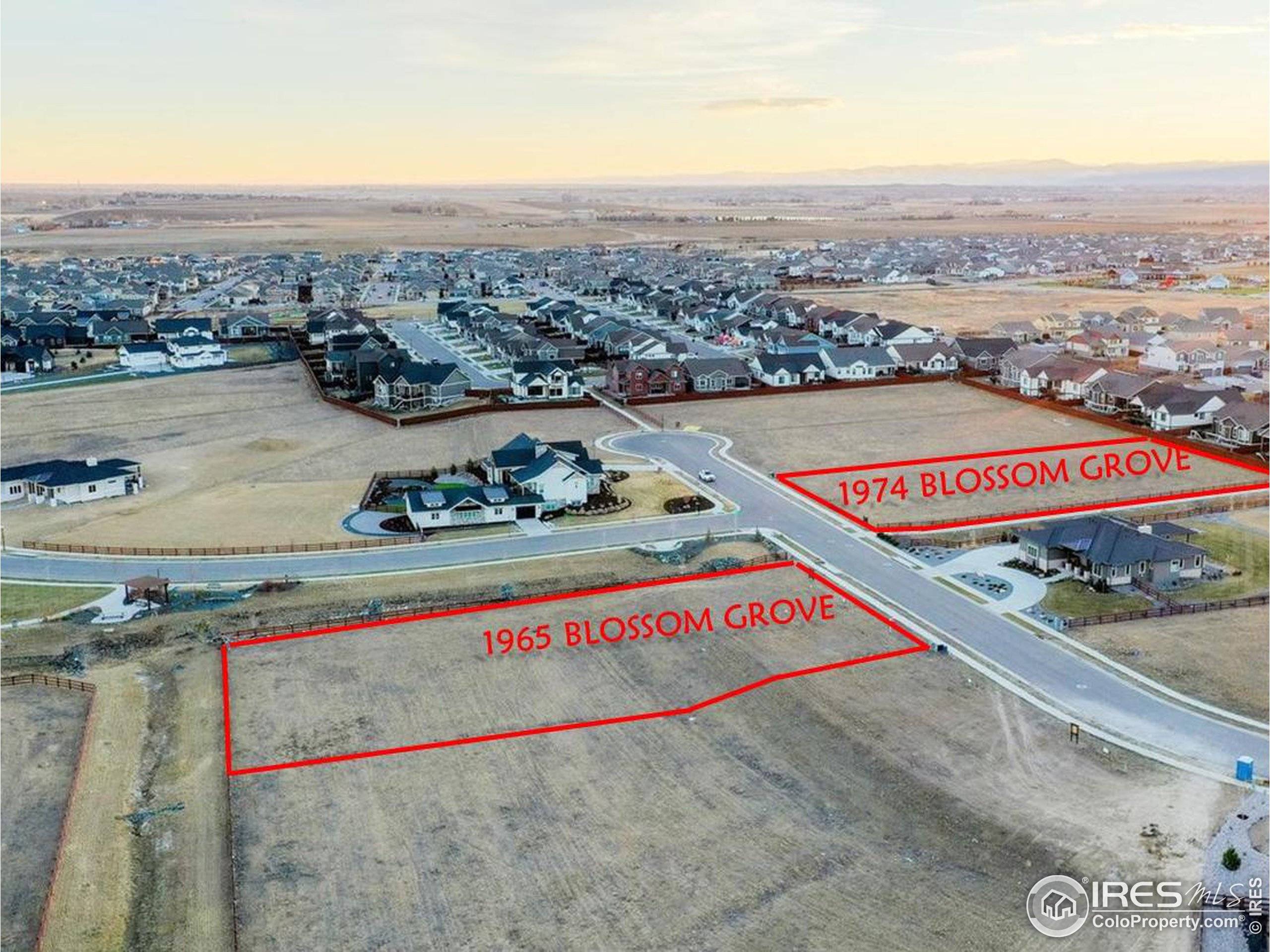 Windsor, CO 80550,1965 Blossom Grove Dr