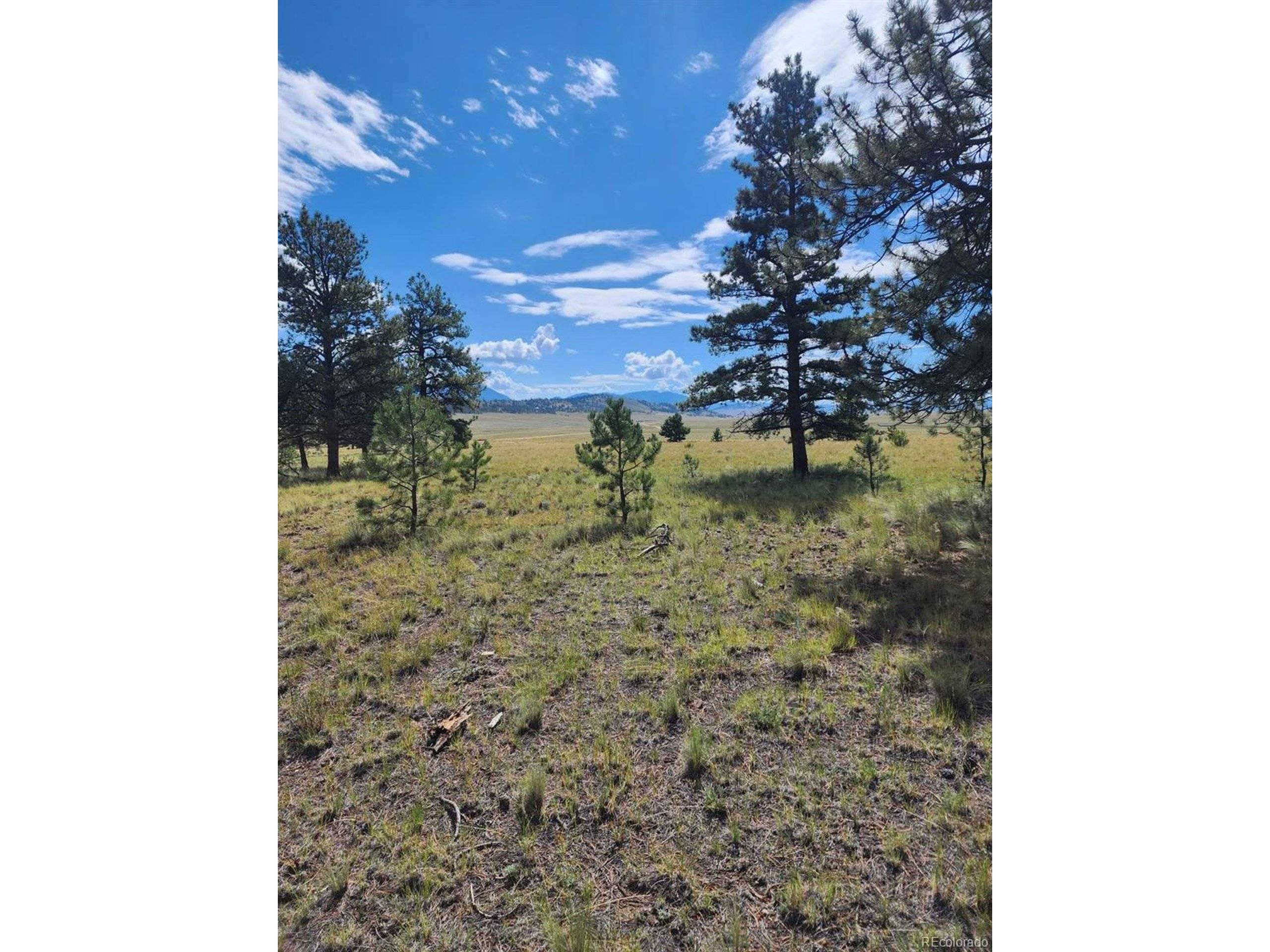 Hartsel, CO 80449,617 Boulder Rd