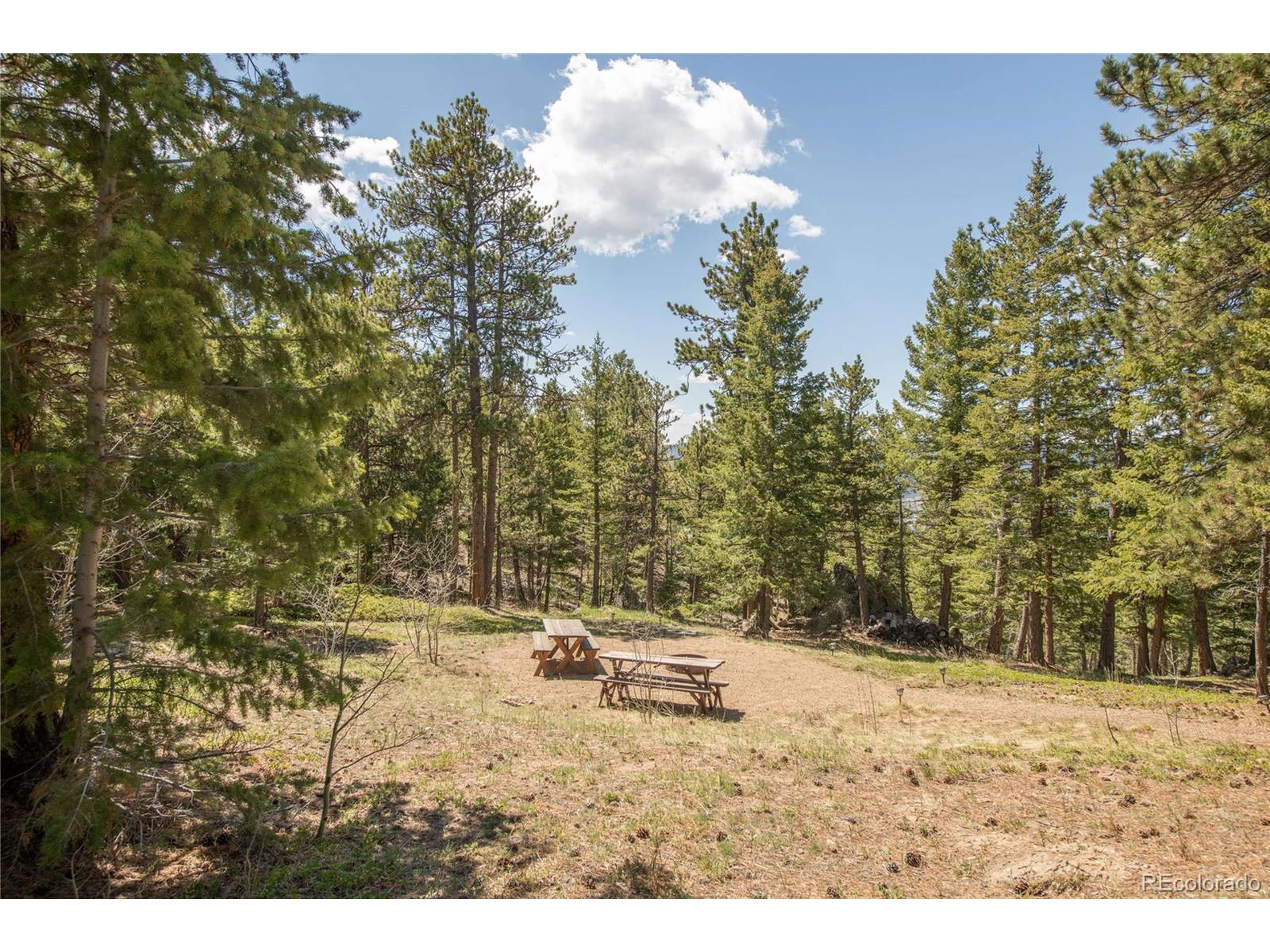 Drake, CO 80515,73 Elk Way