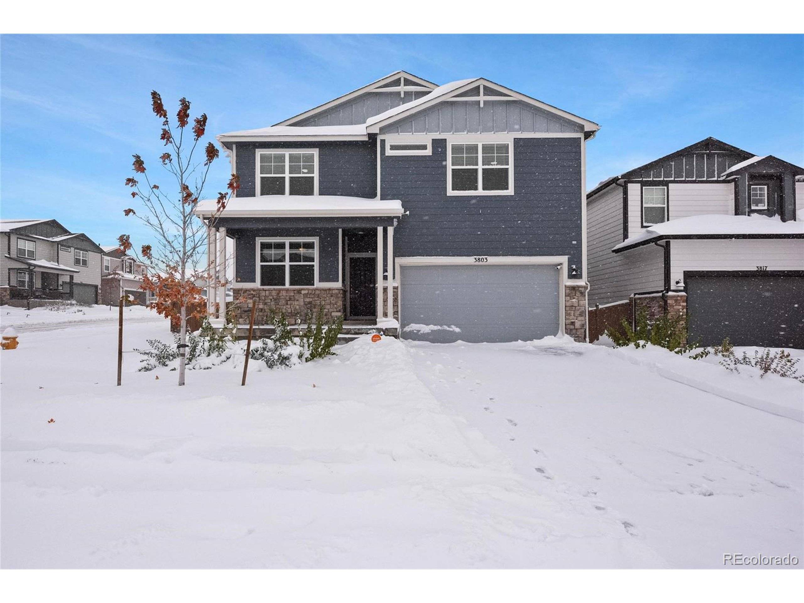 Castle Rock, CO 80104,3803 Sandy Vista Trl