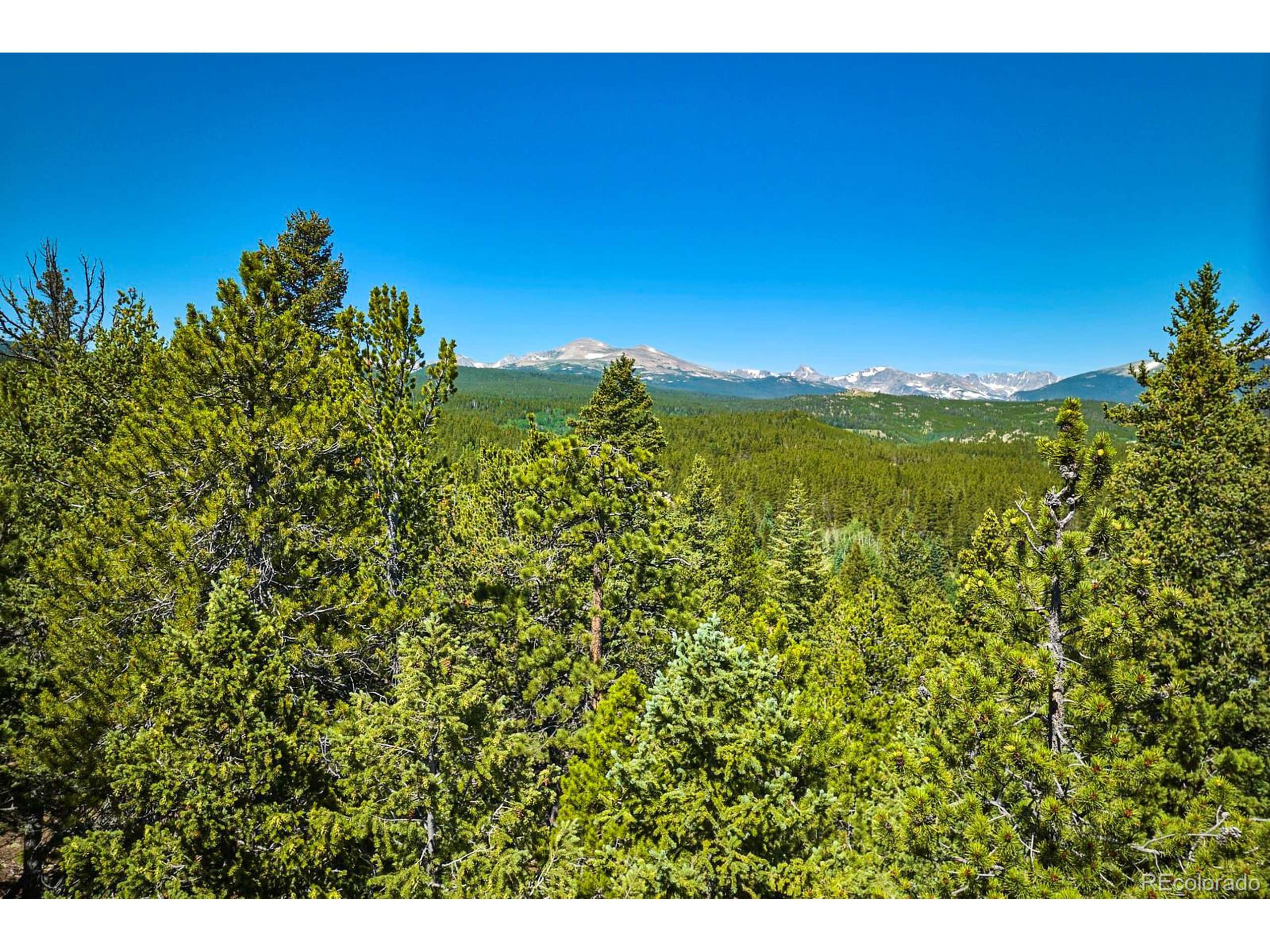 Ward, CO 80401,0 Pine Cone Cir