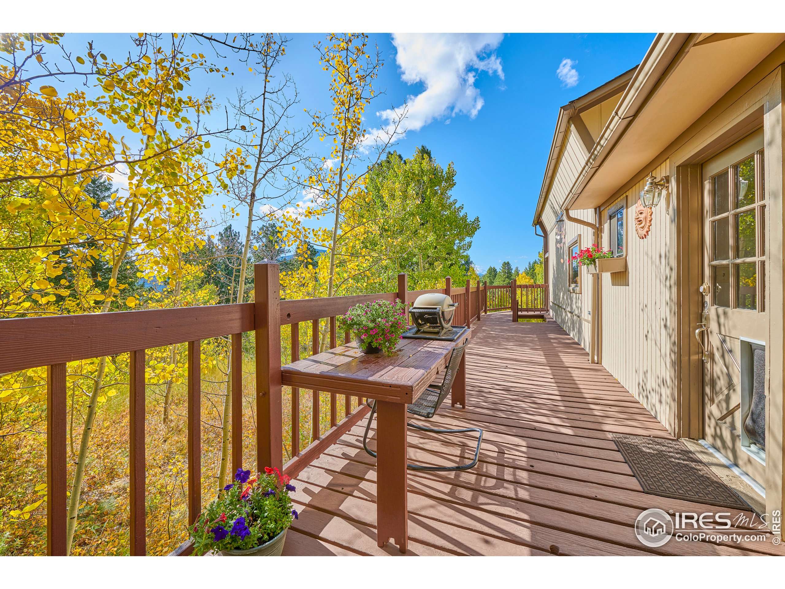 Nederland, CO 80466,298 Evergreen Way