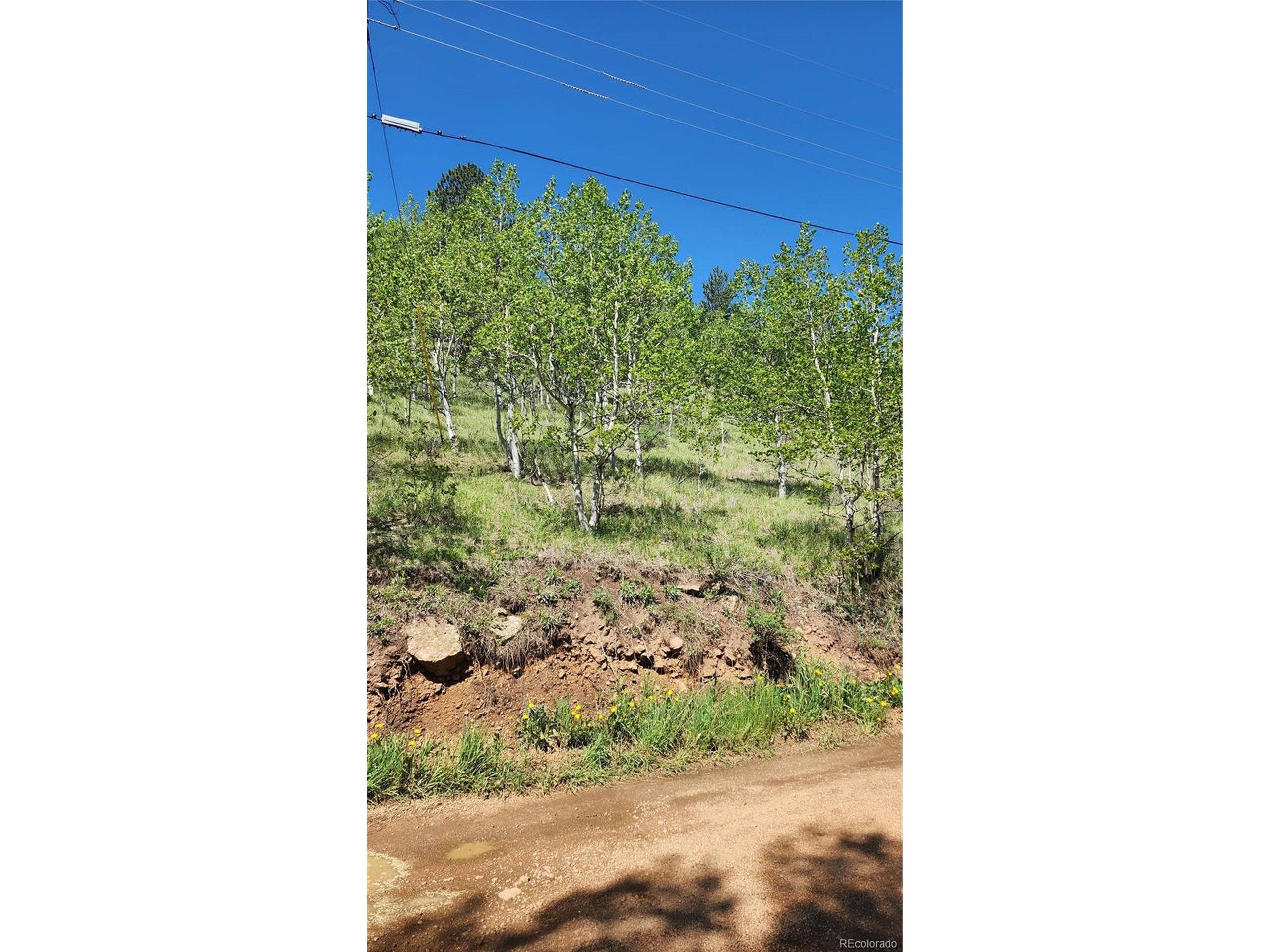Bailey, CO 80421,267 Ward St