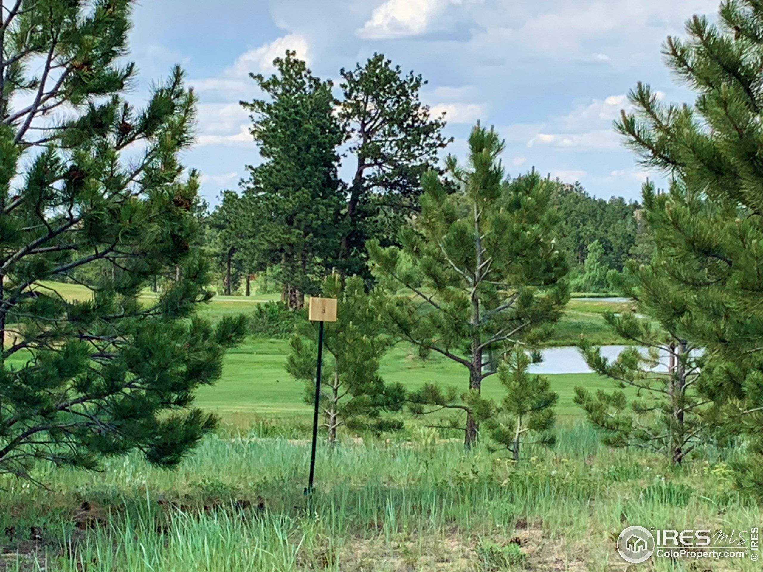 Red Feather Lakes, CO 80545,3 Fox Meadow Ln #Lot 3