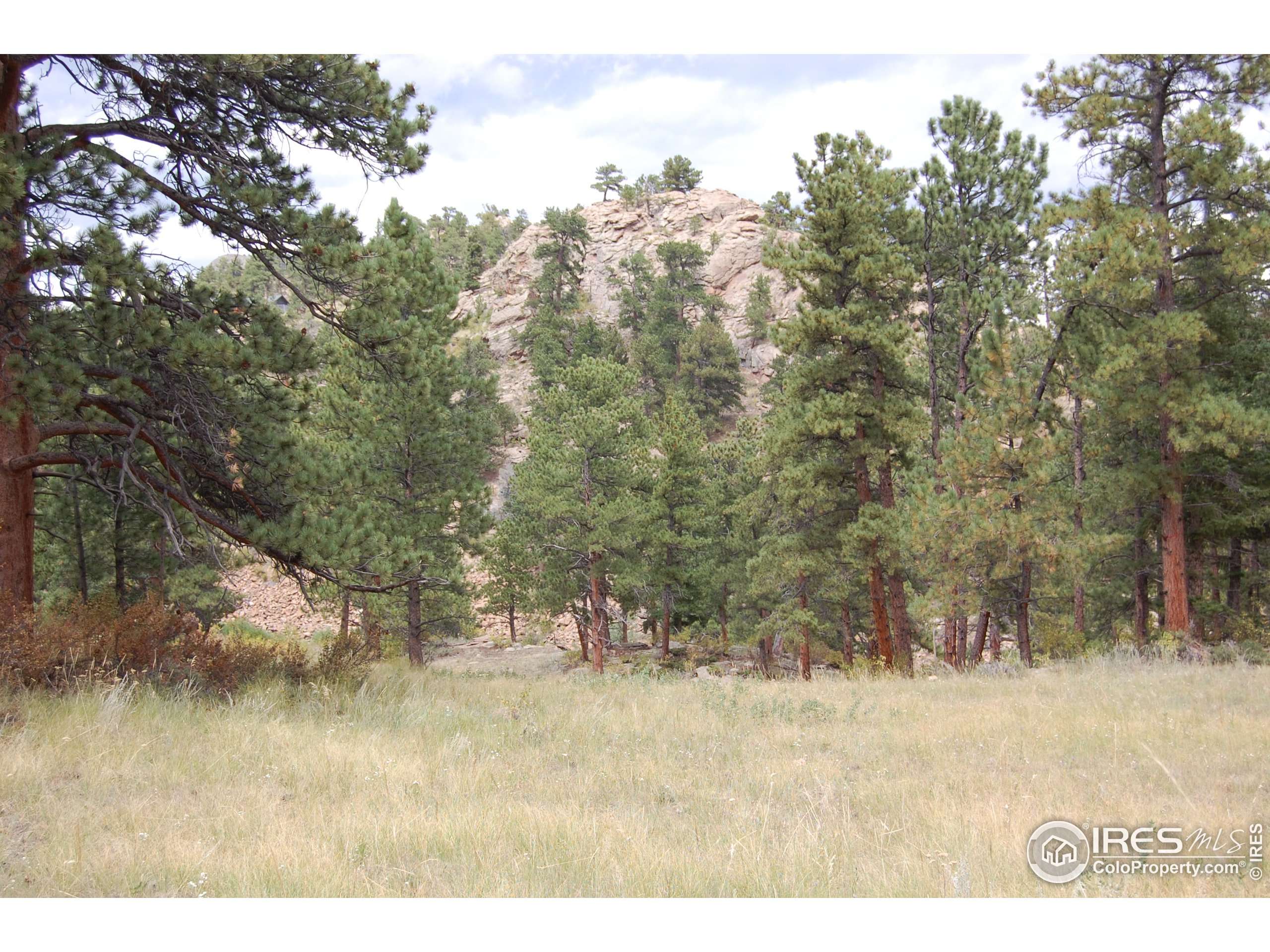 Estes Park, CO 80517,0 Green Pine Ct