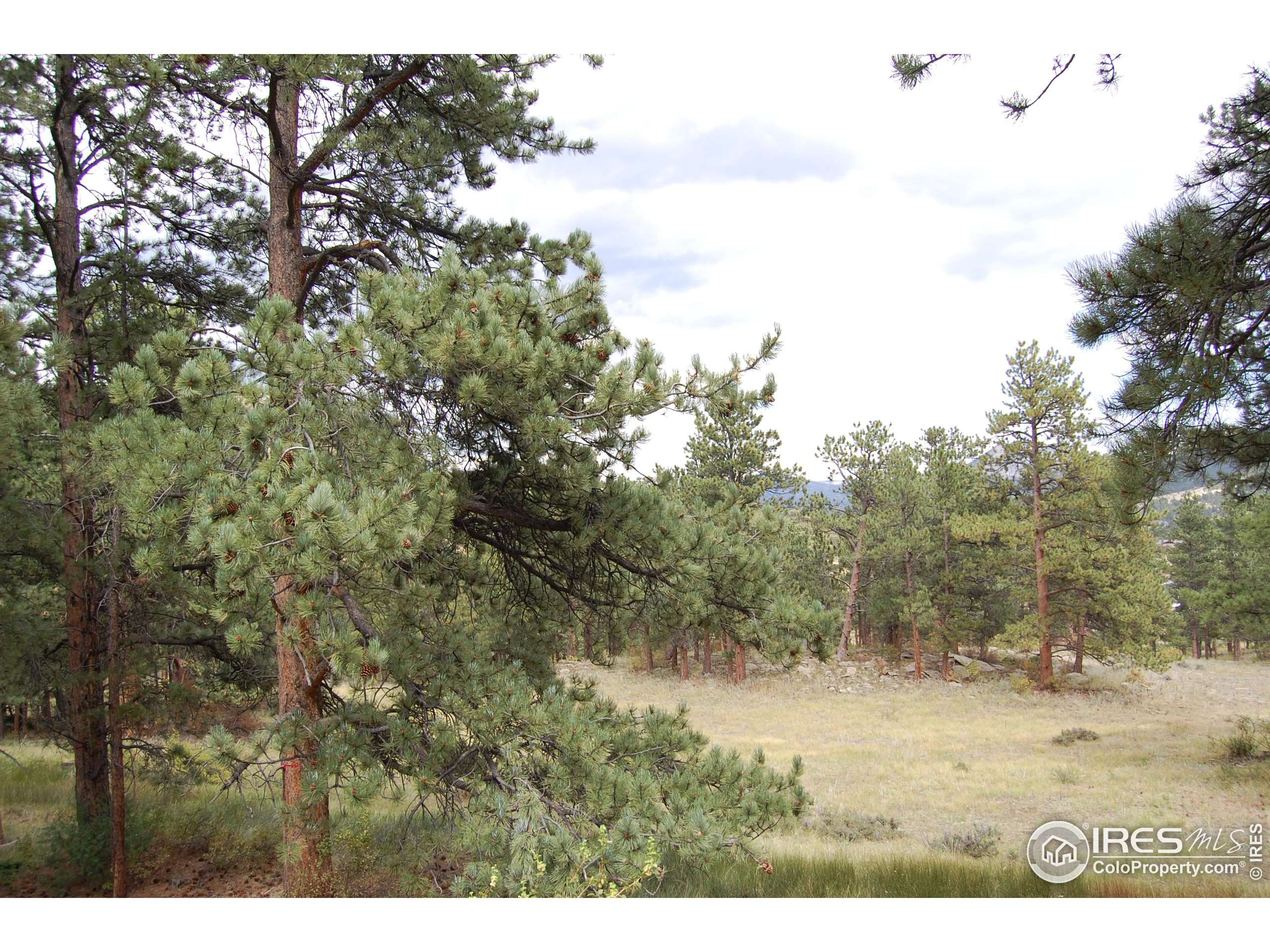 Estes Park, CO 80517,0 Green Pine Ct