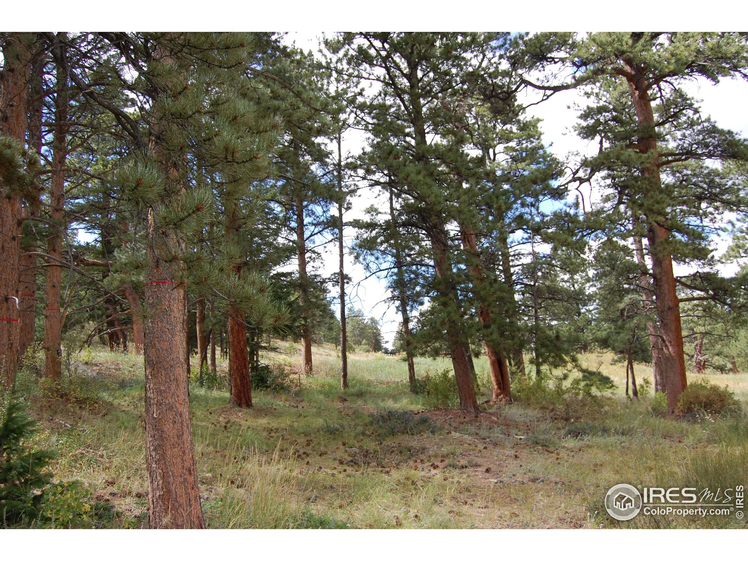 Estes Park, CO 80517,0 Green Pine Ct