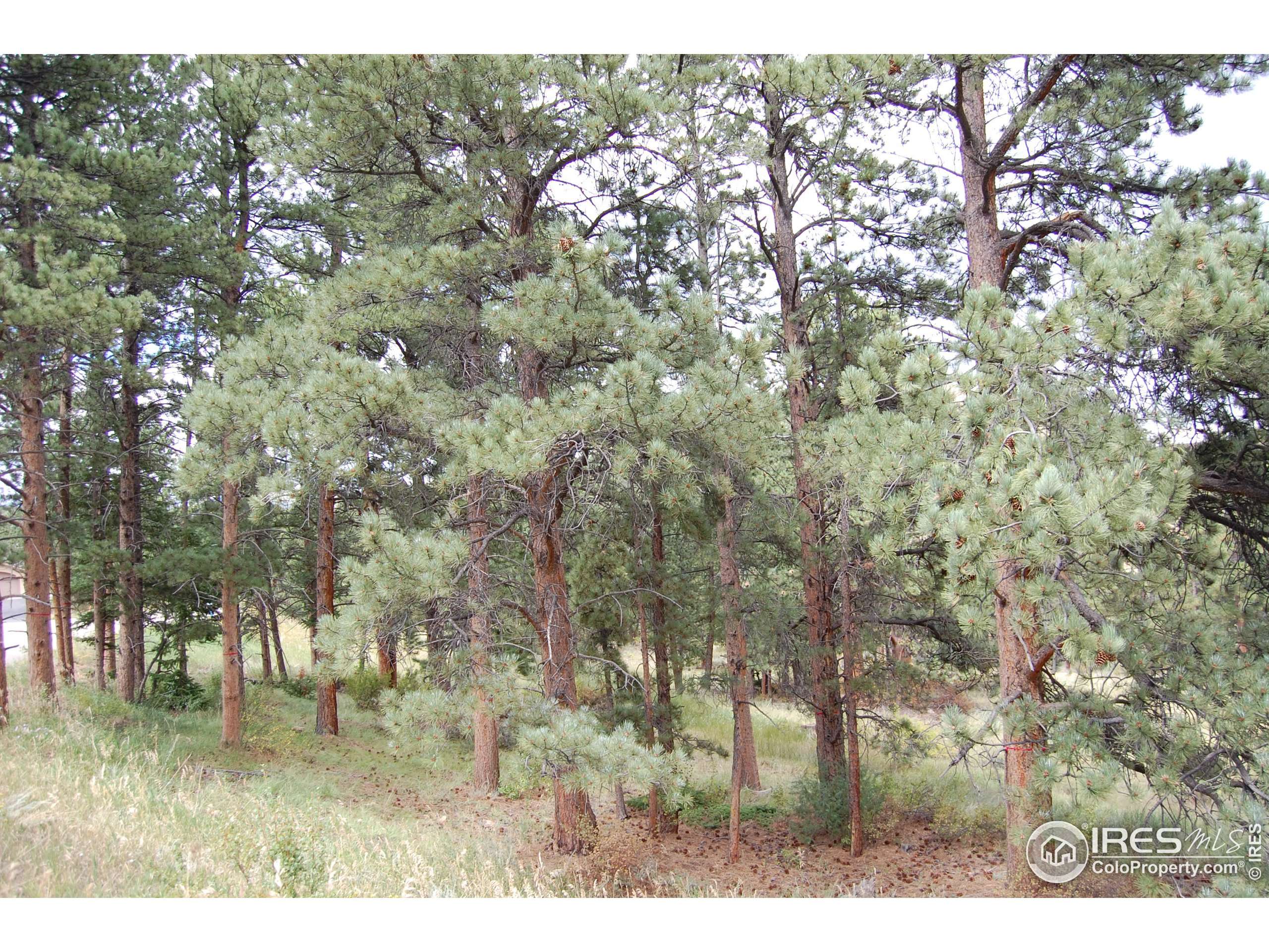 Estes Park, CO 80517,0 Green Pine Ct