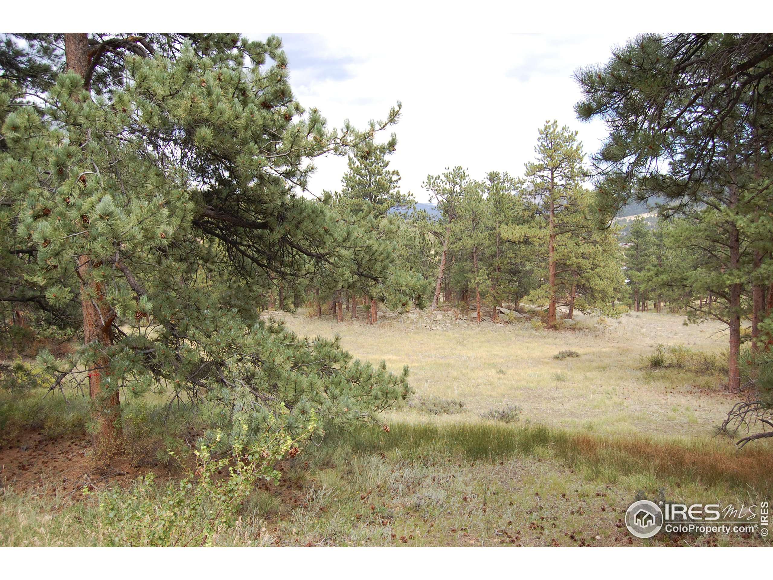 Estes Park, CO 80517,0 Green Pine Ct