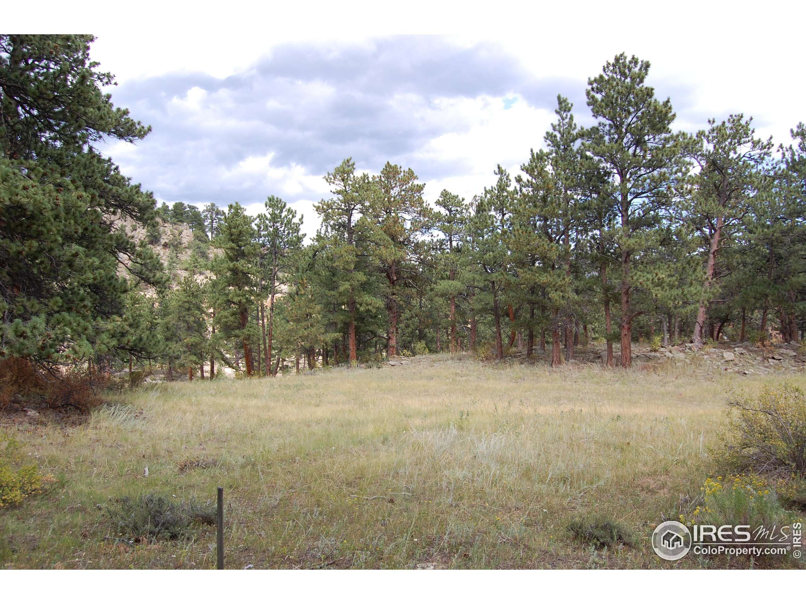 Estes Park, CO 80517,0 Green Pine Ct