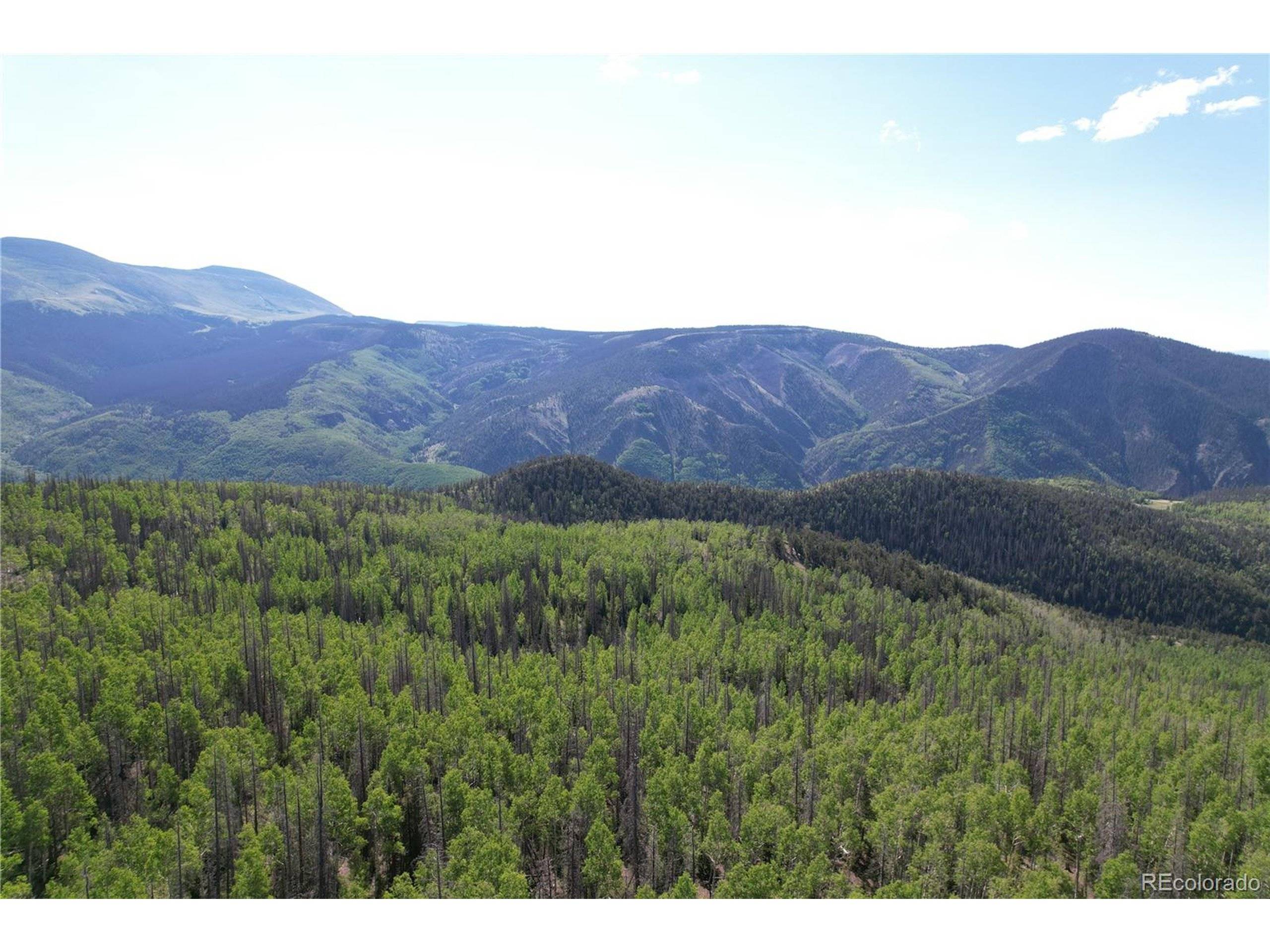 Creede, CO 81130,0 Forest Rd 504