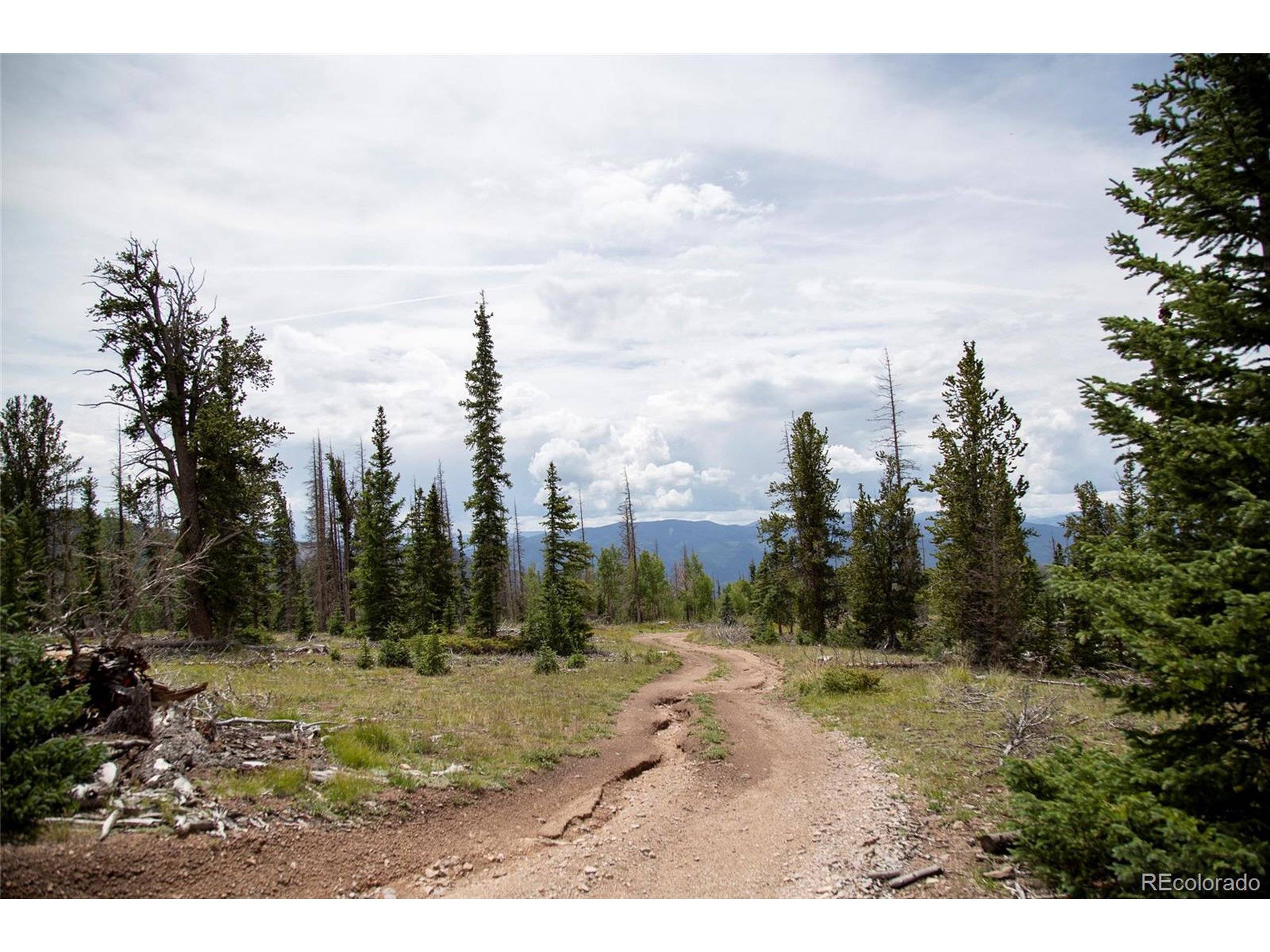 Creede, CO 81130,0 Forest Rd 504