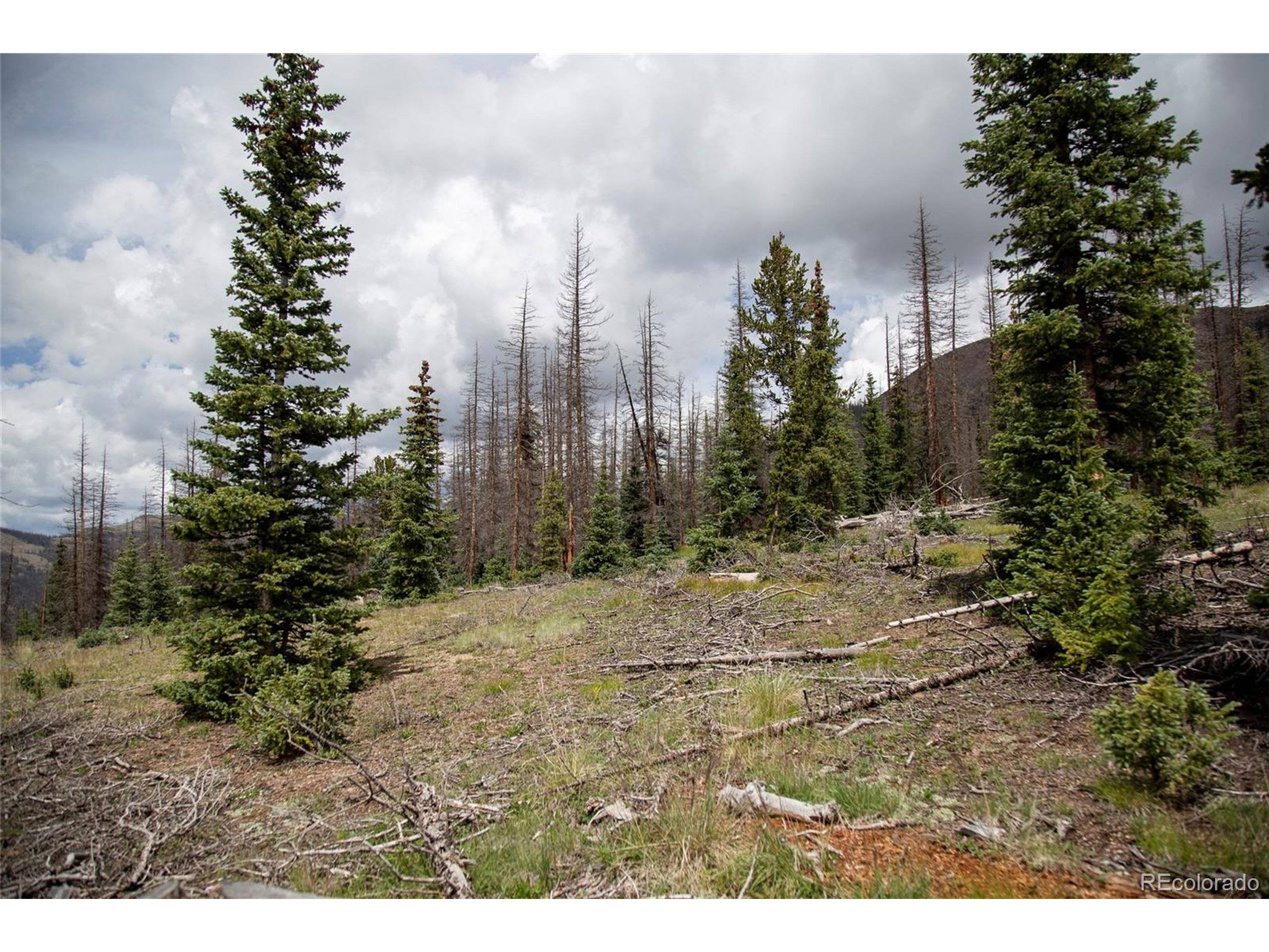 Creede, CO 81130,0 Forest Rd 504