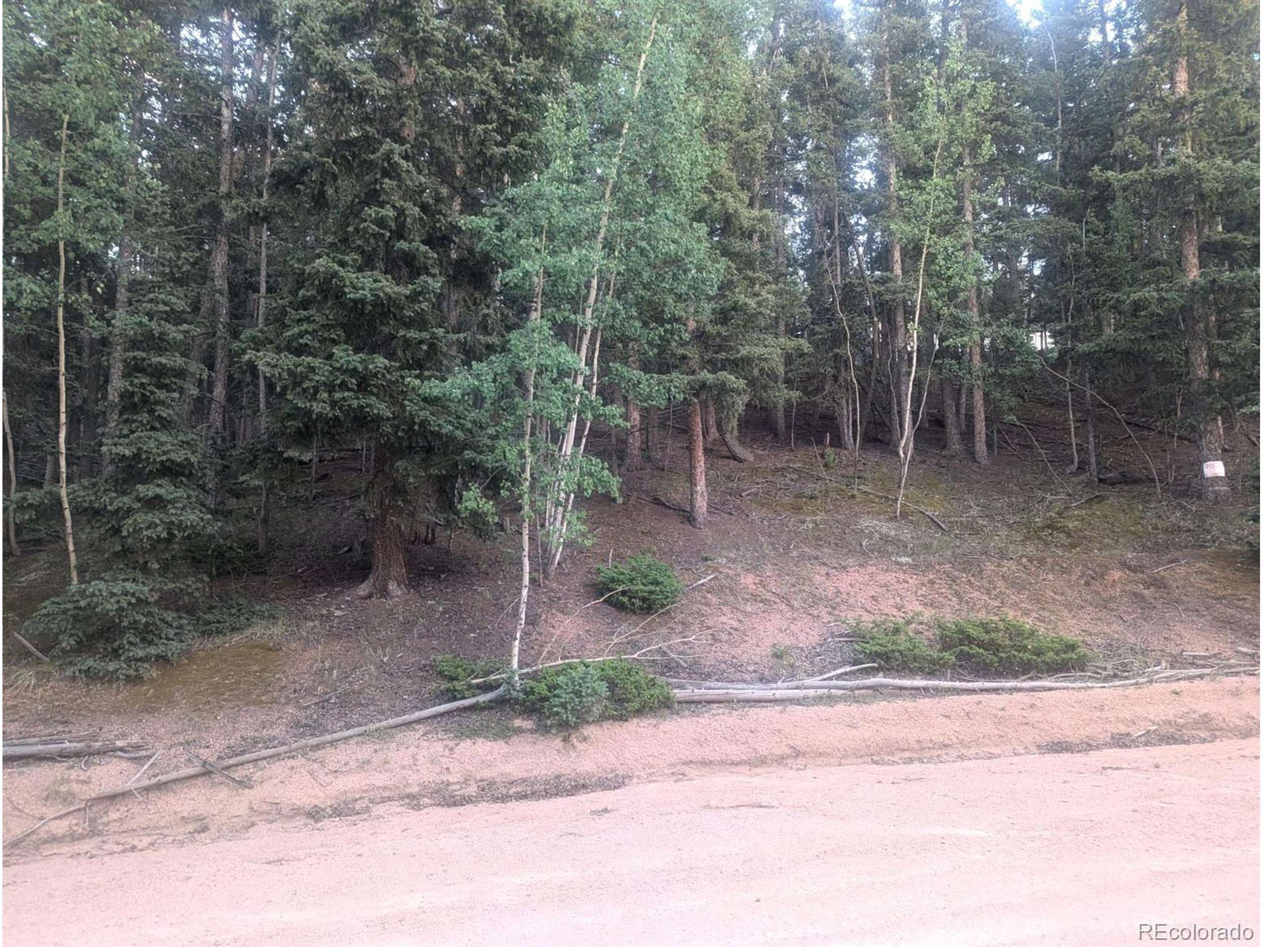 Florissant, CO 80816,358 Pawutsy Rd